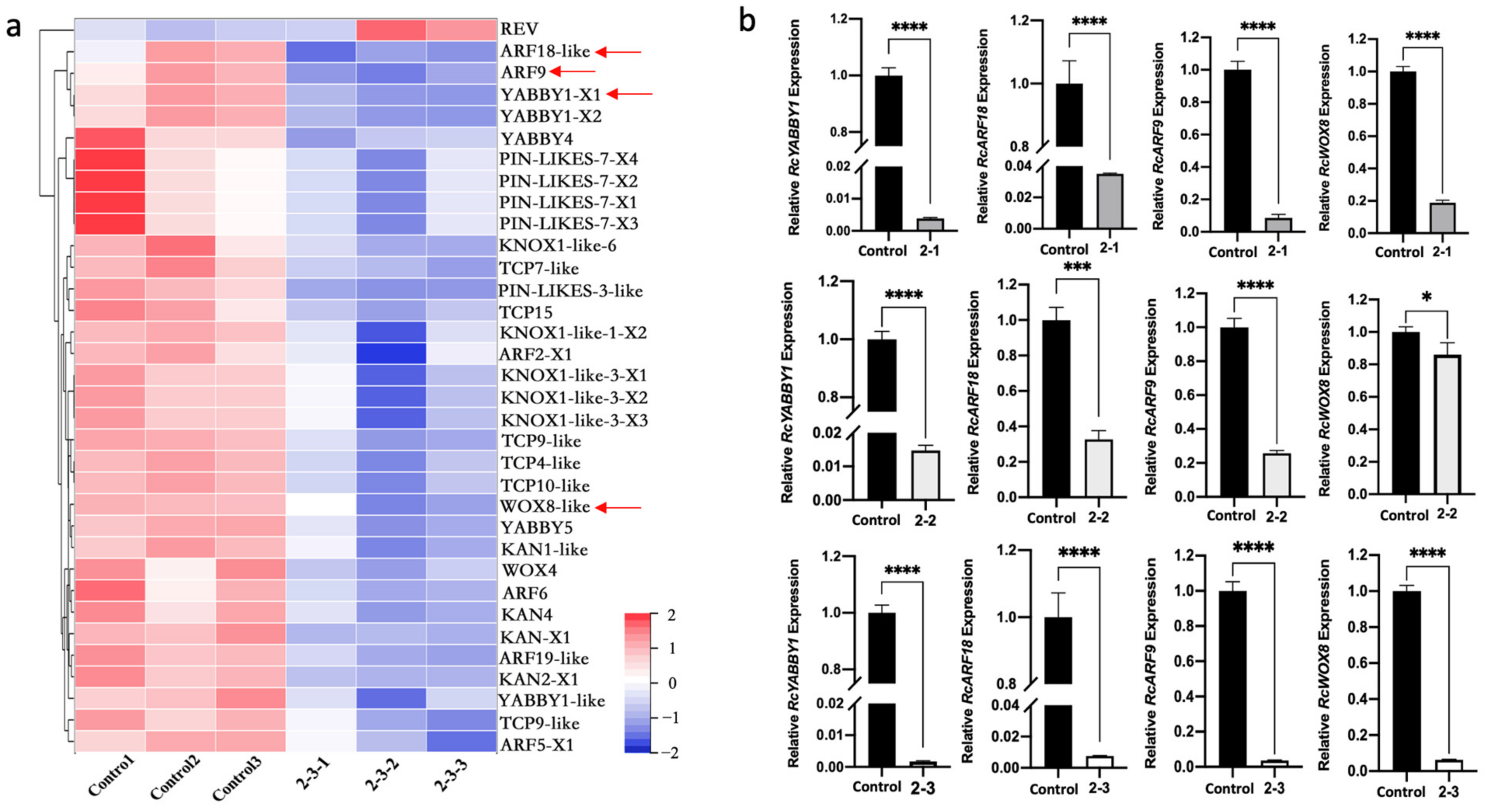Plants 11 01438 g005 Plants 11 01438 g005