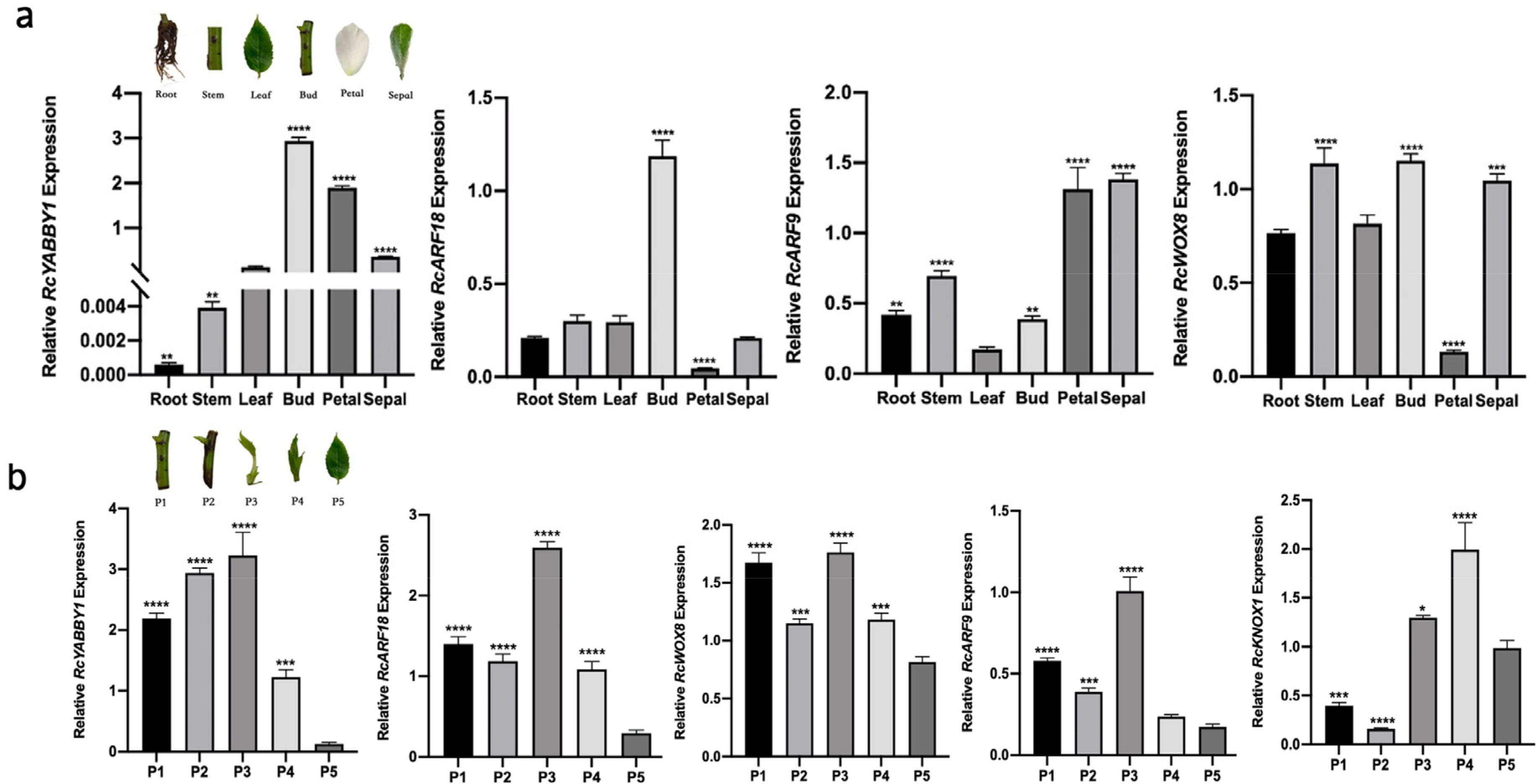 Plants 11 01438 g006 Plants 11 01438 g006