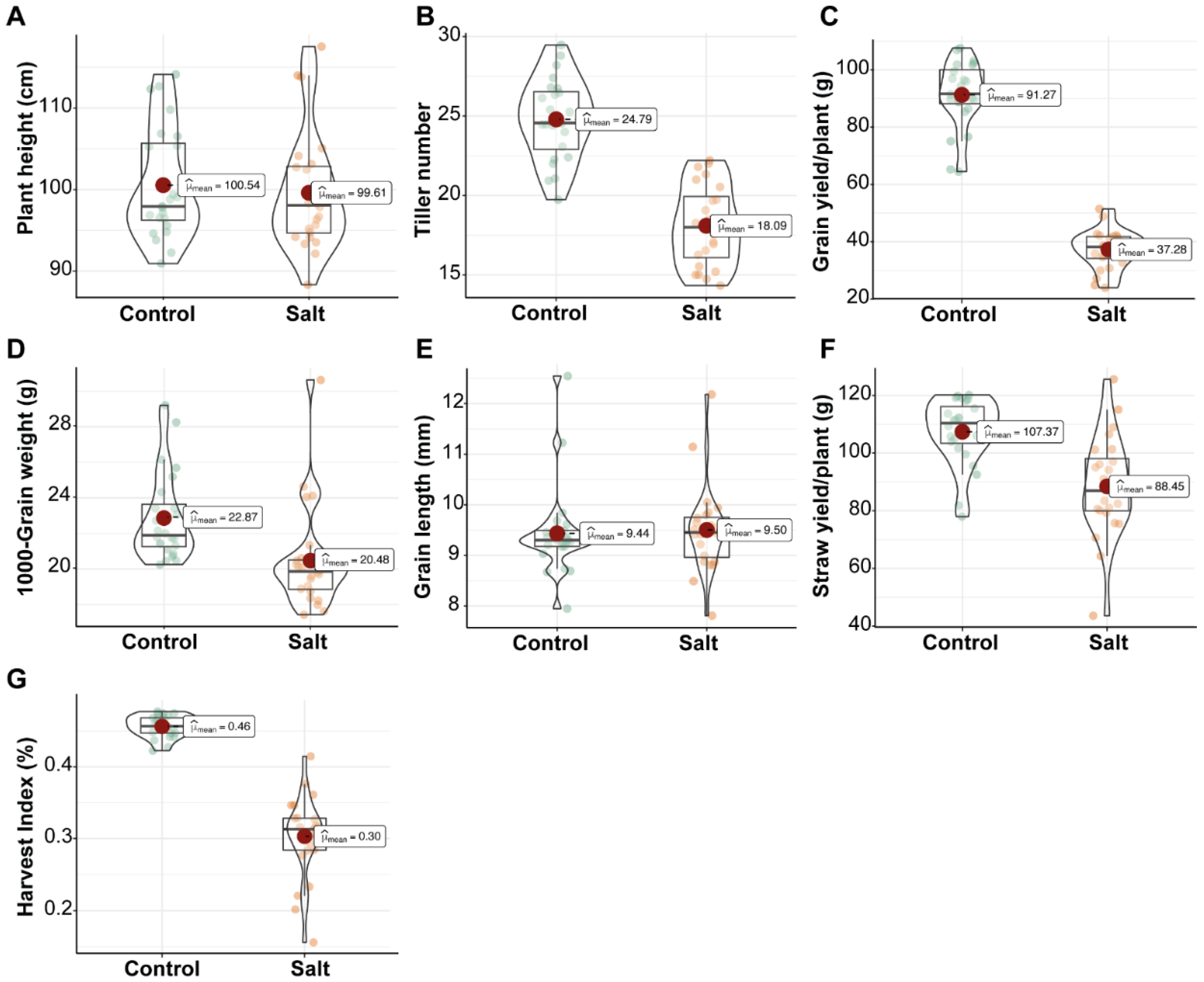 Plants 11 01461 g004