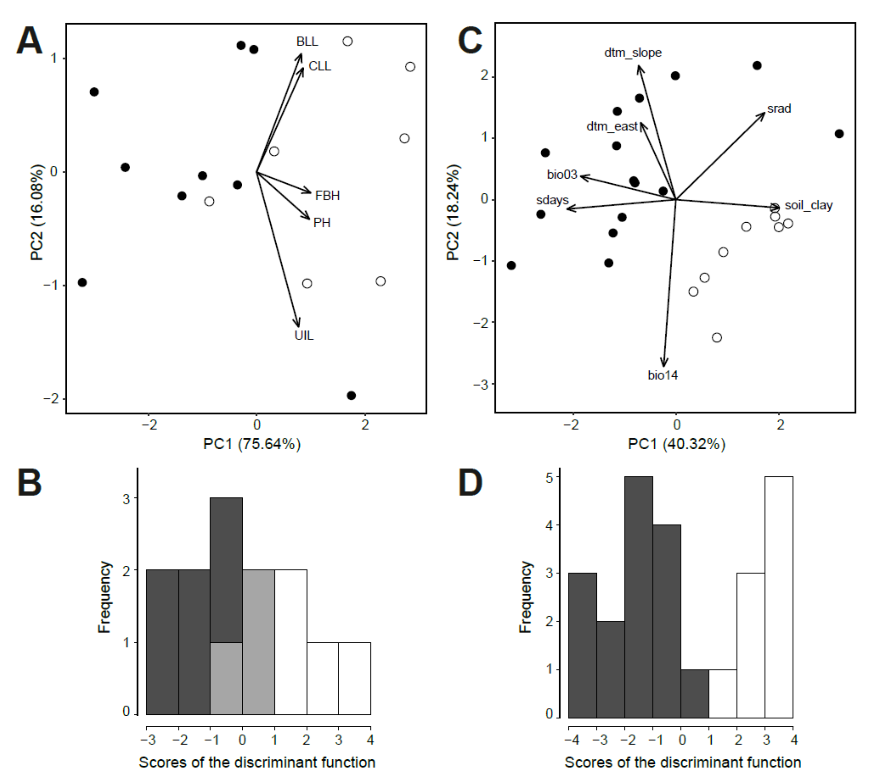 Plants | Free Full-Text | Genome Size Variation in Dianthus