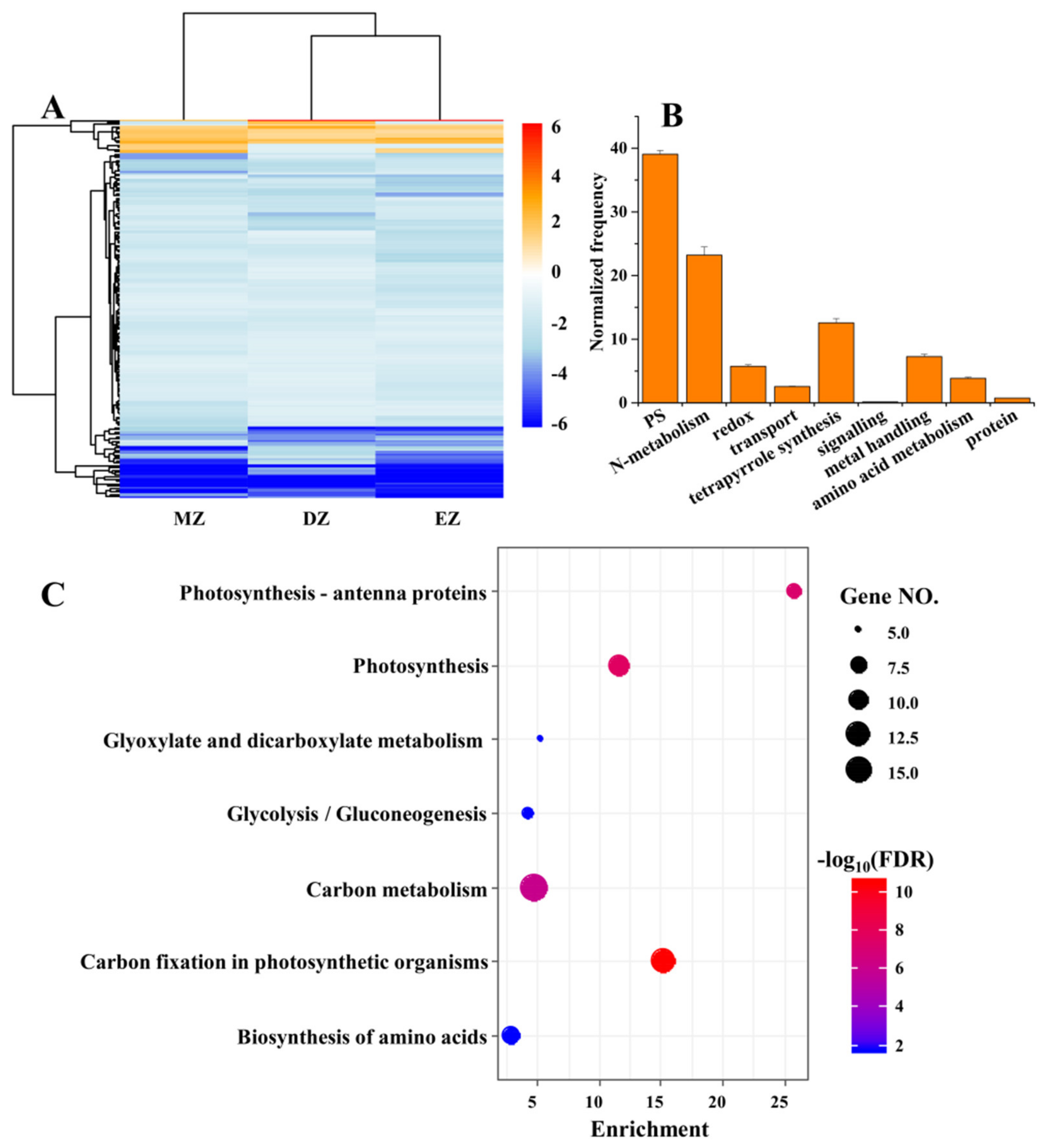 Plants 11 01550 g002