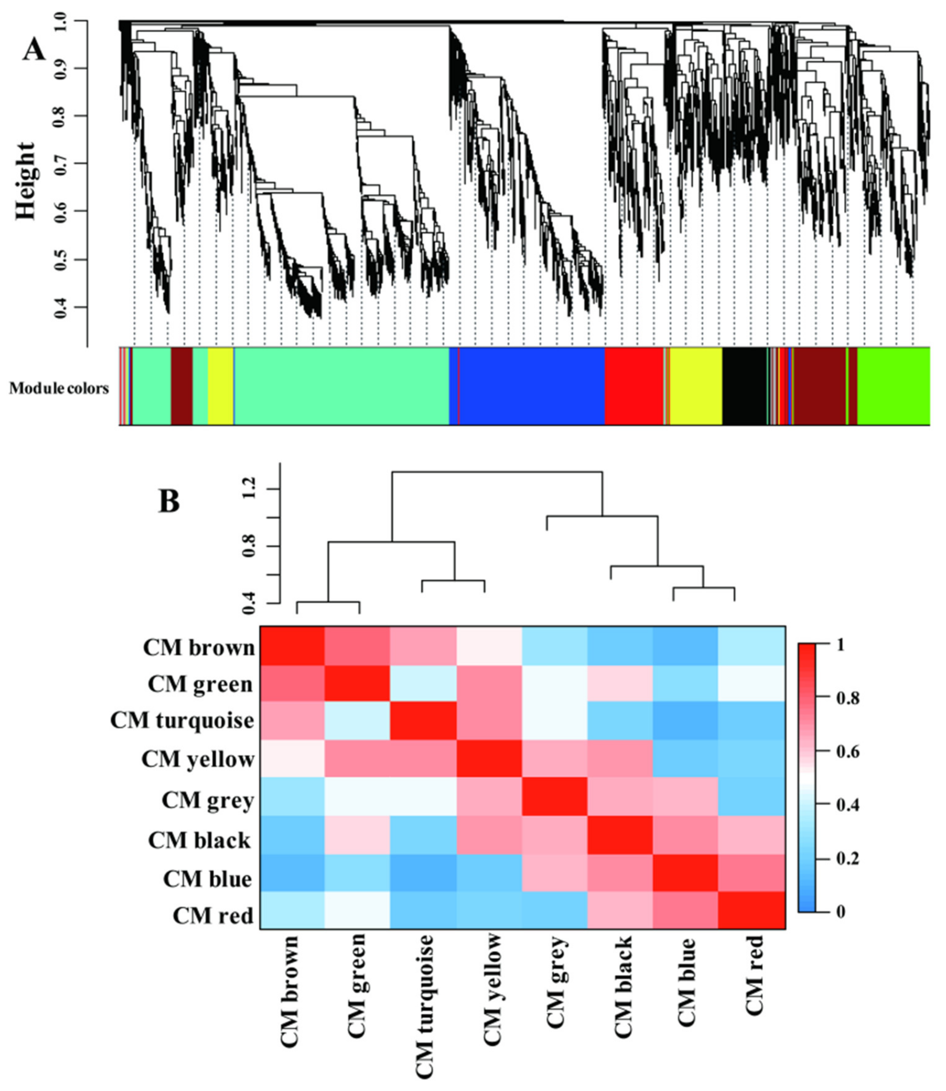 Plants 11 01550 g004