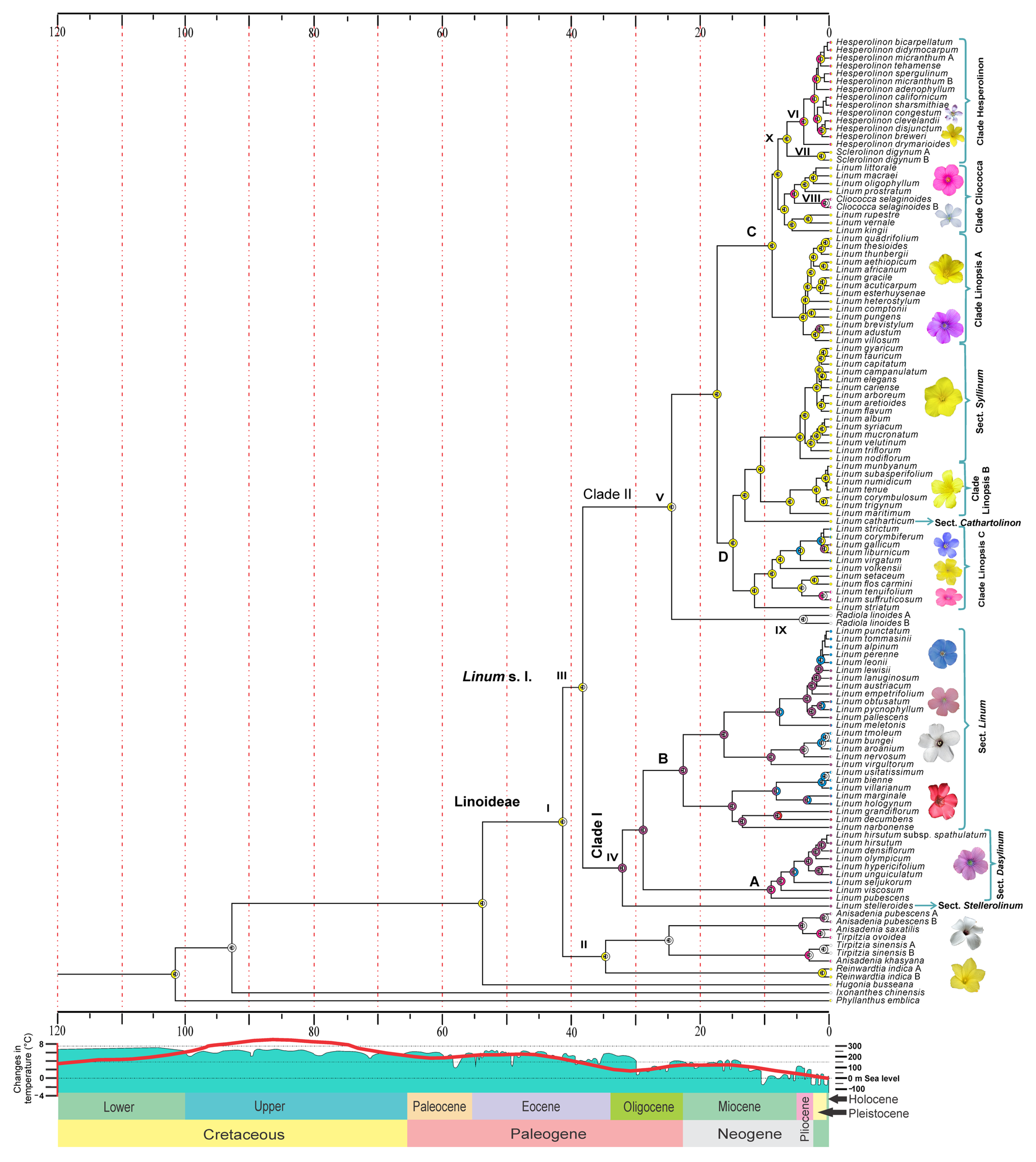 Plants 11 01579 g002 Plants 11 01579 g002