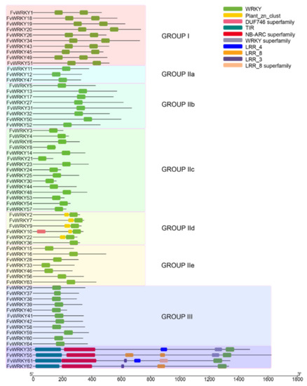 Plants | Free Full-Text | A Comprehensive Study of the WRKY ...