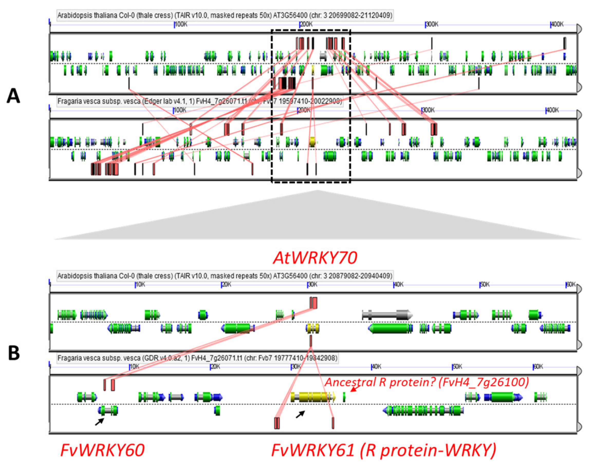 Plants 11 01585 g003 Plants 11 01585 g003
