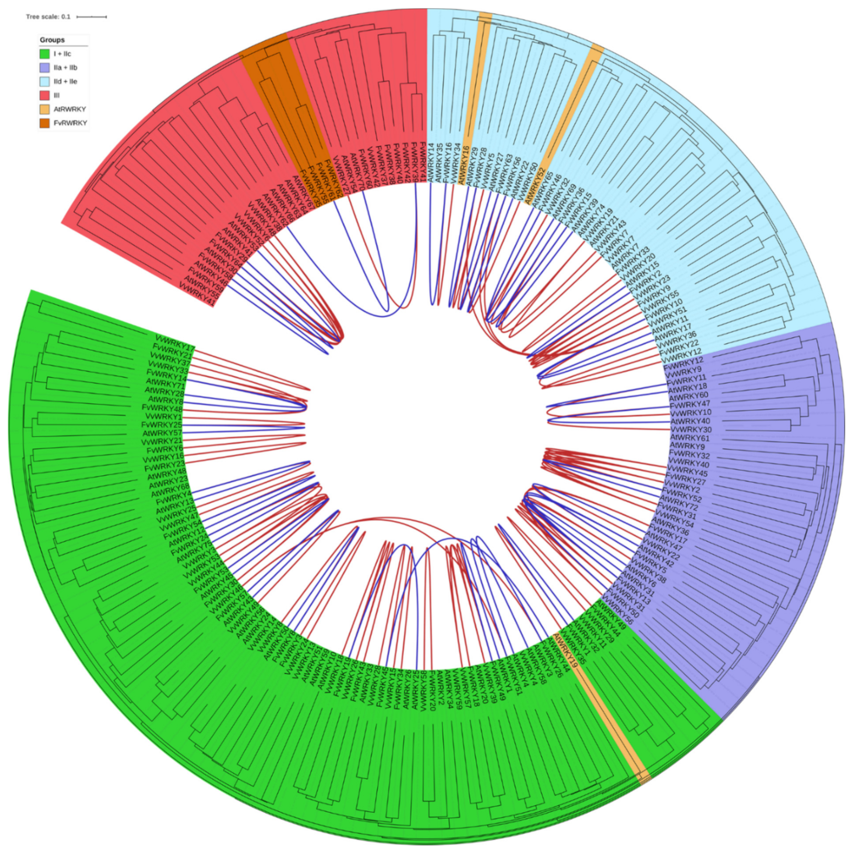 Plants 11 01585 g005 Plants 11 01585 g005