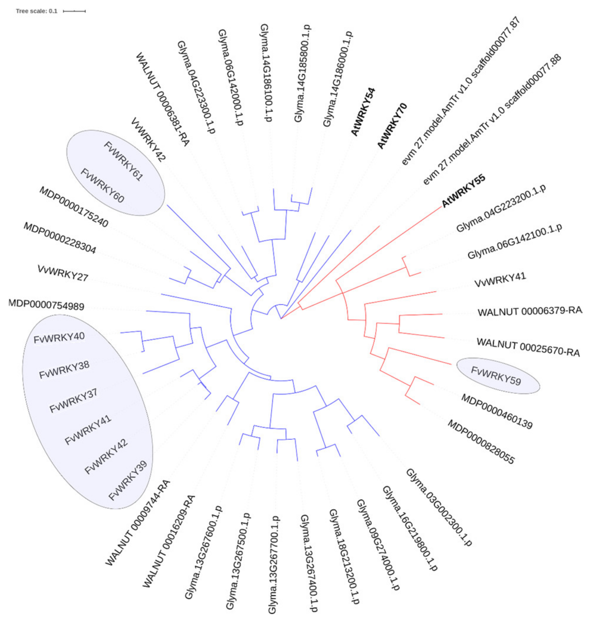 Plants 11 01585 g007 Plants 11 01585 g007