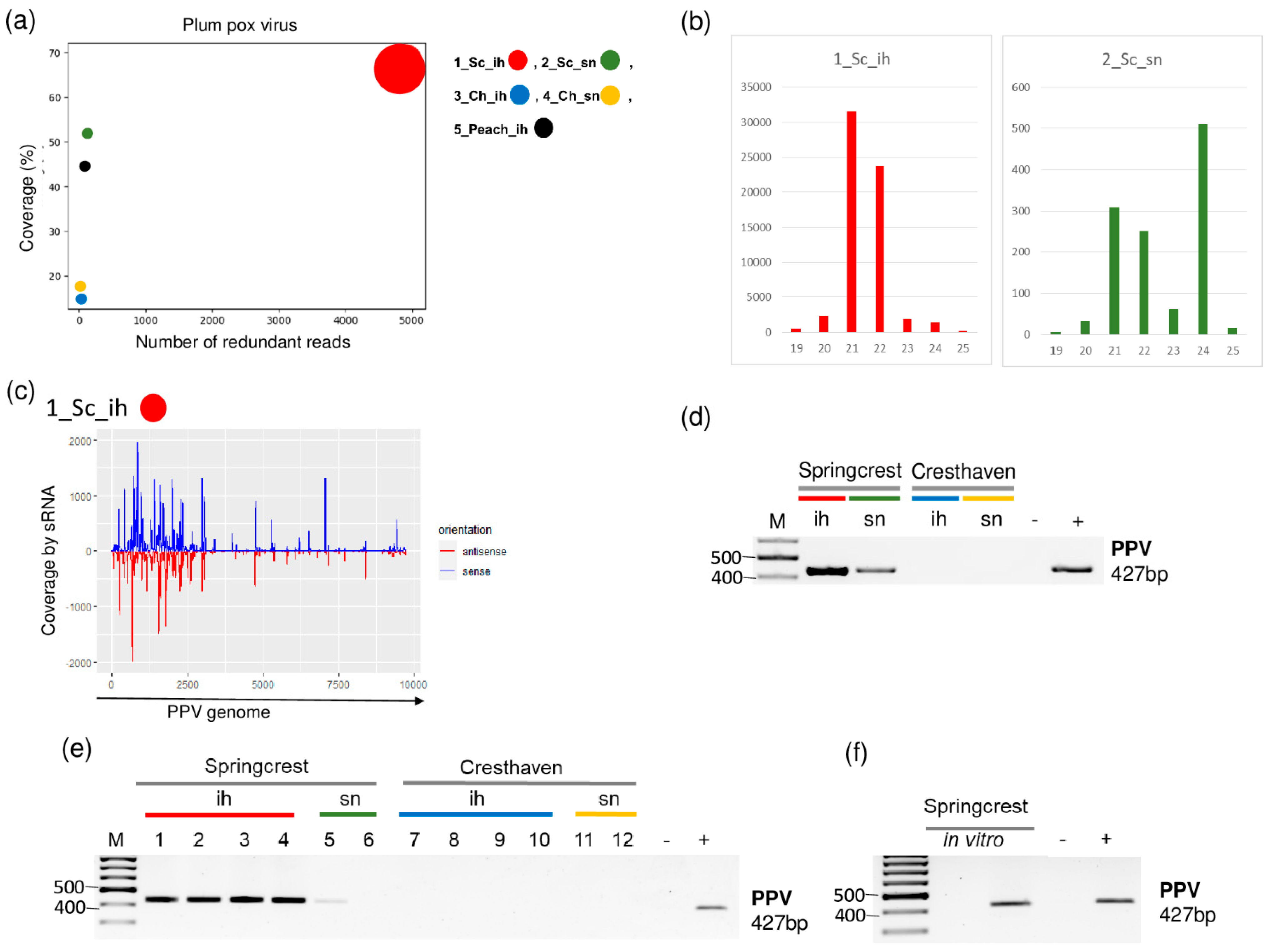 Plants 11 01591 g002