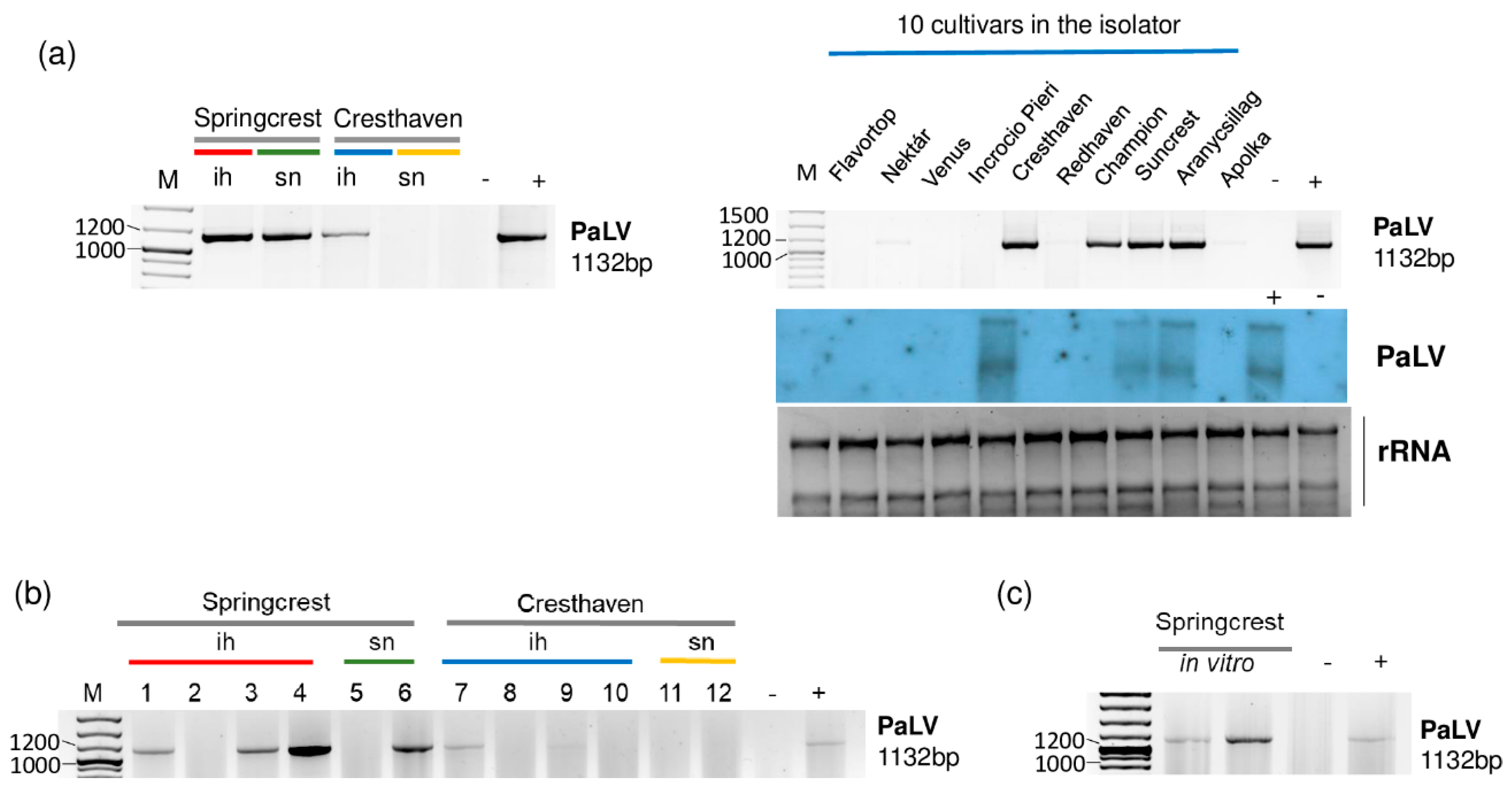 Plants 11 01591 g006