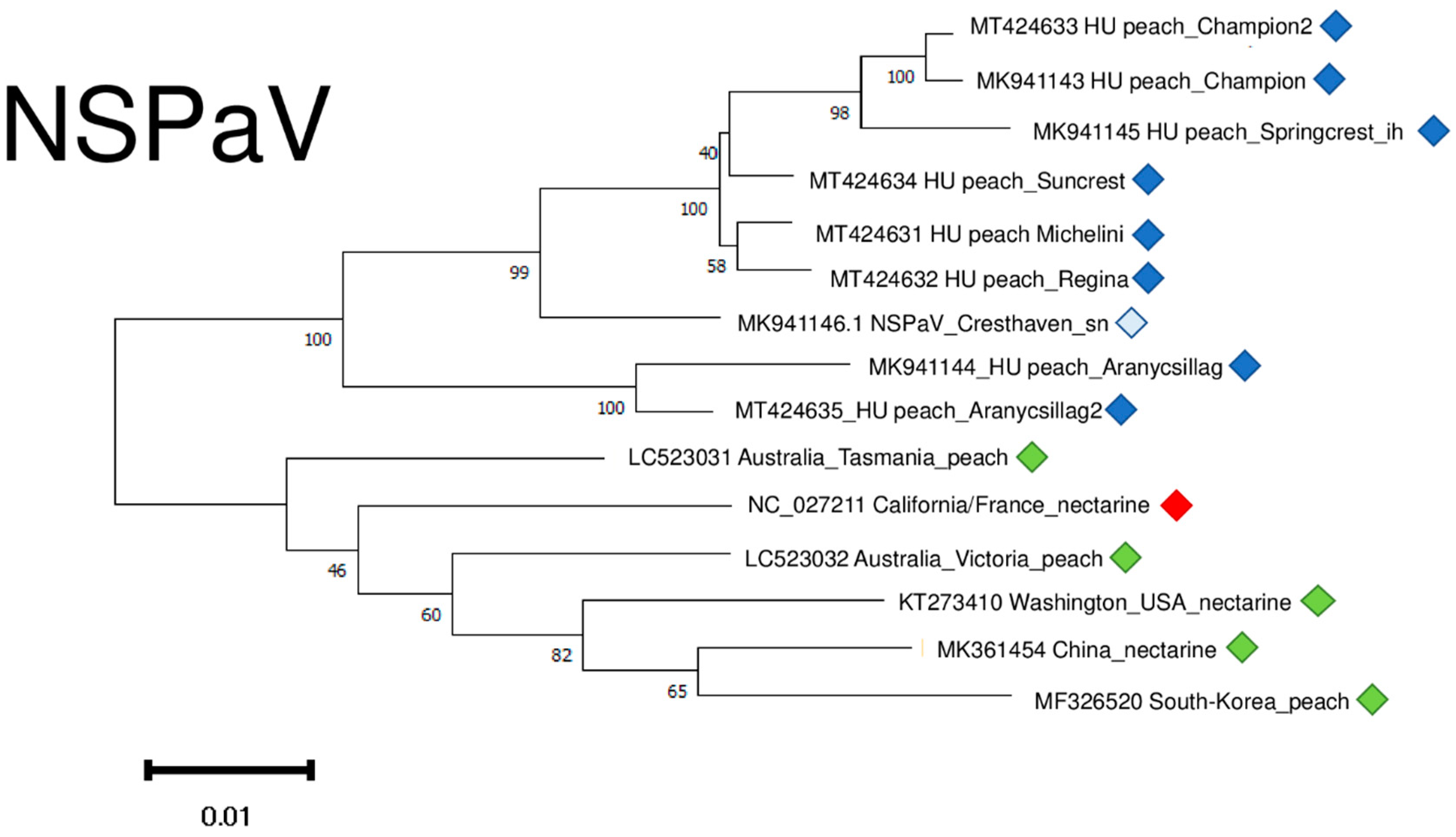 Plants 11 01591 g011