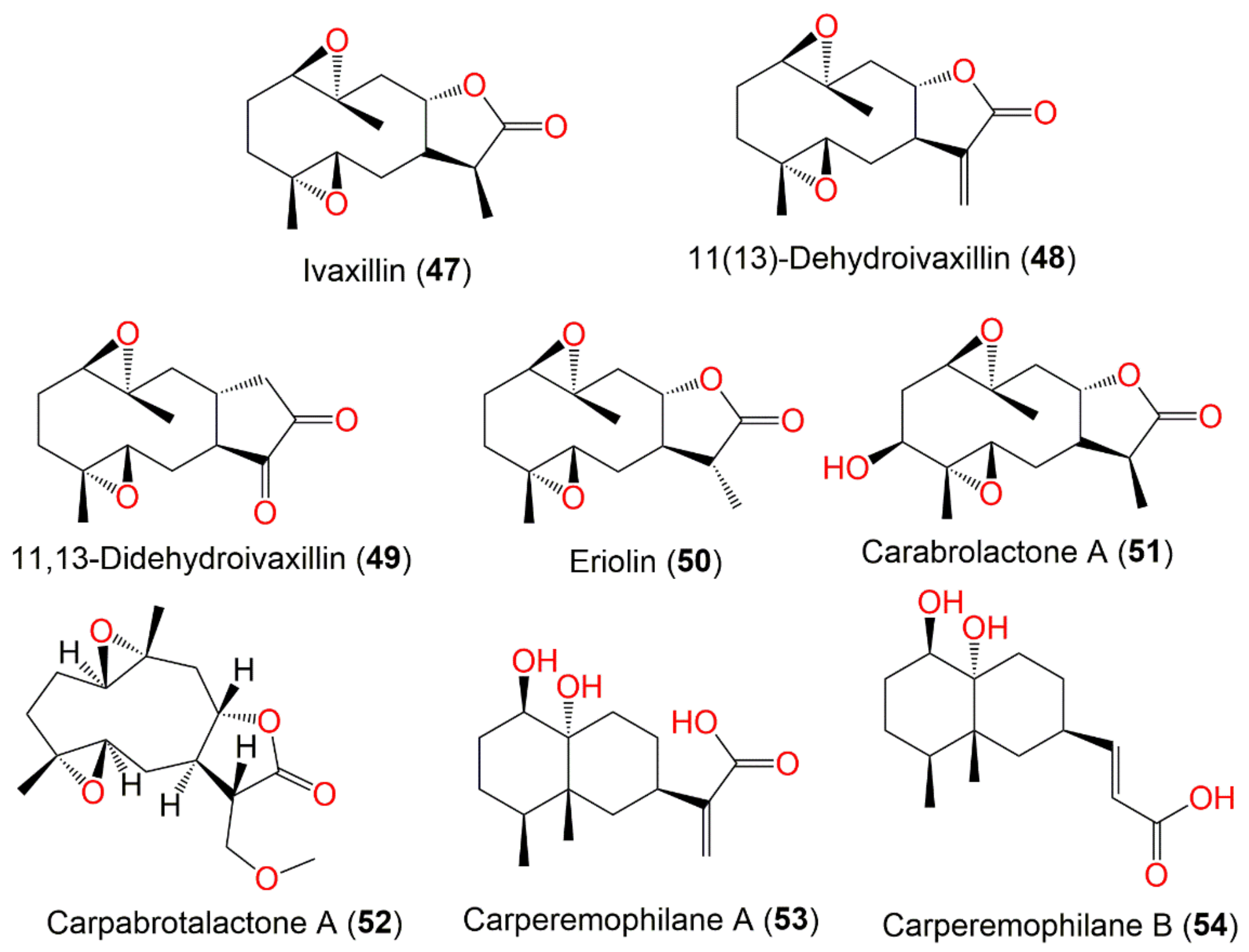 Plants 11 01598 g008