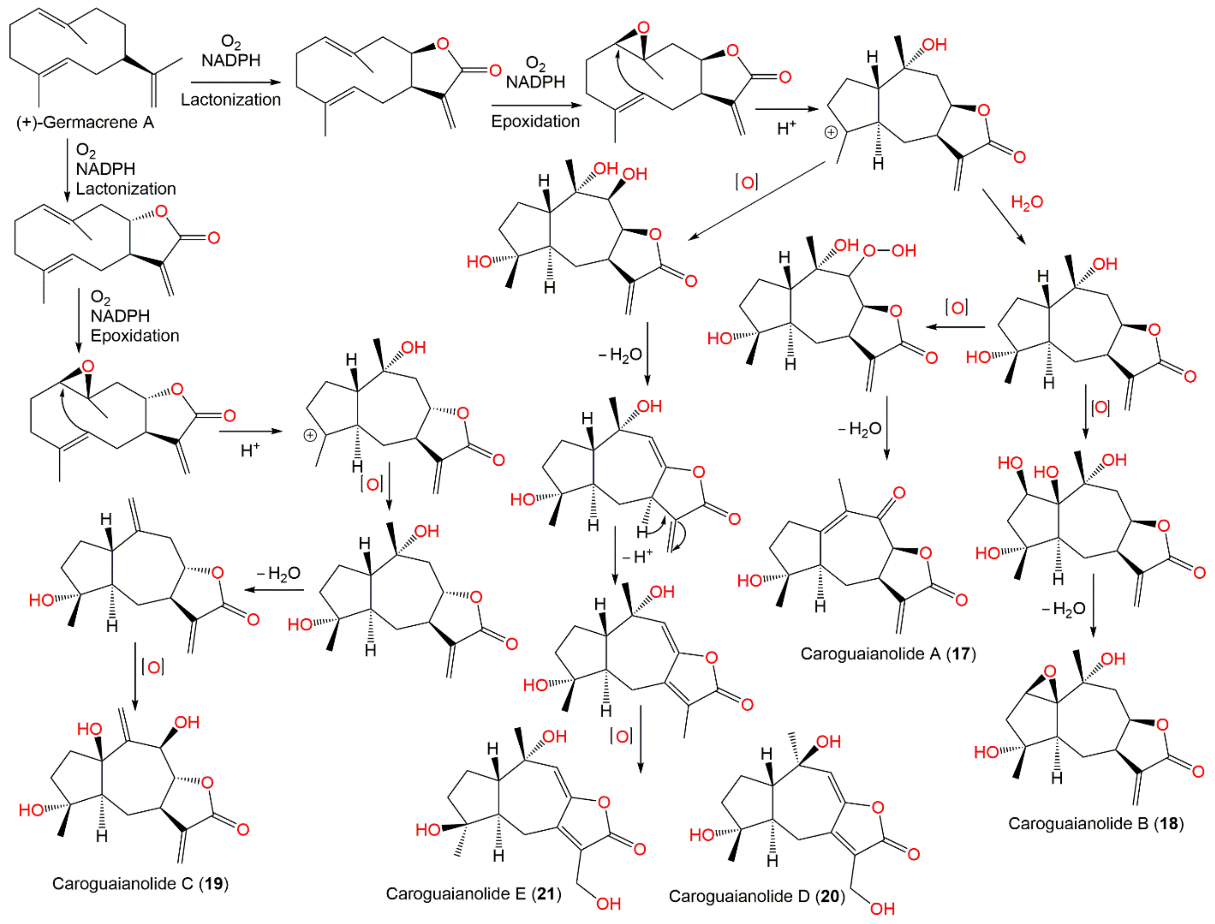 Plants 11 01598 sch002