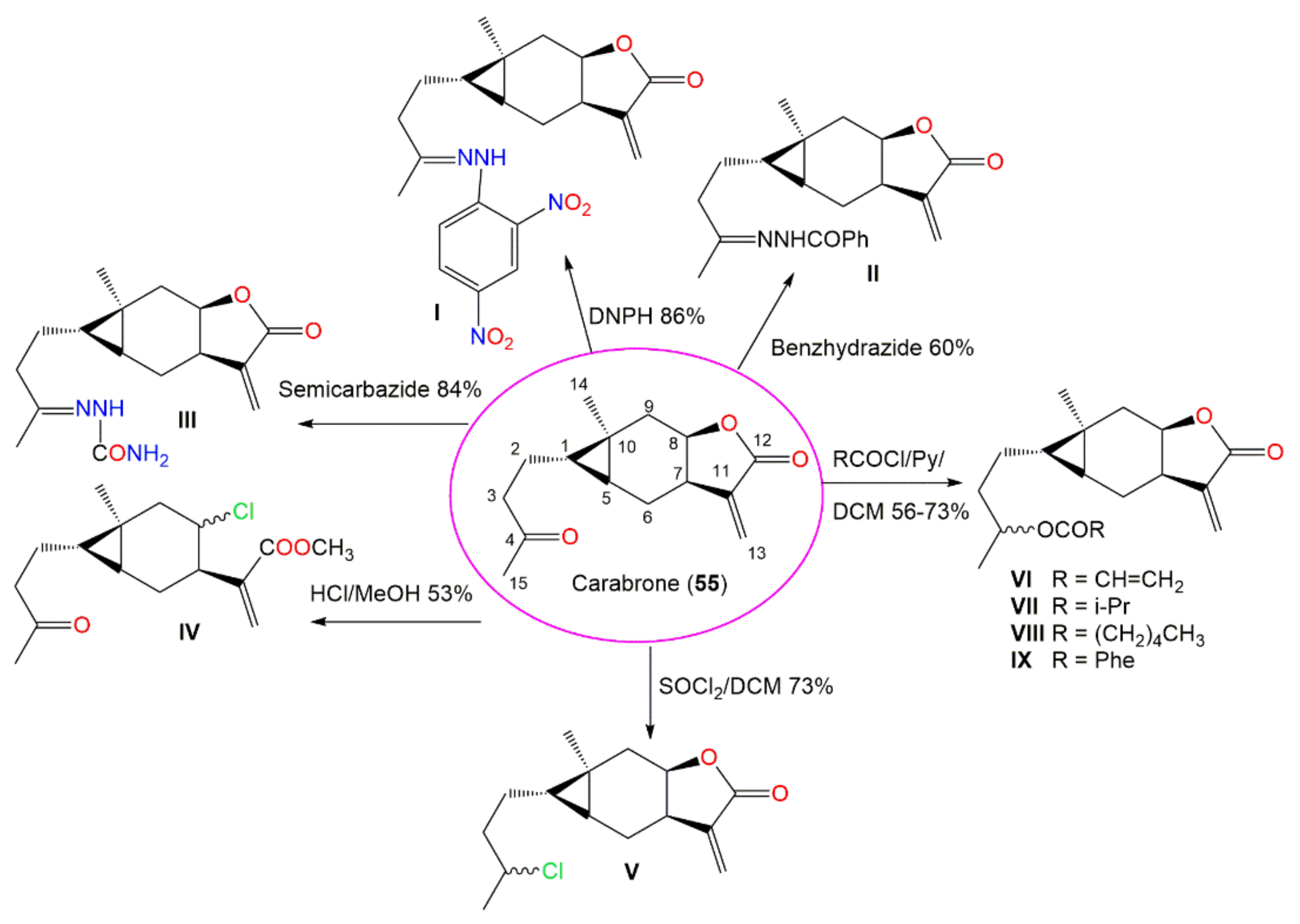 Plants 11 01598 sch004
