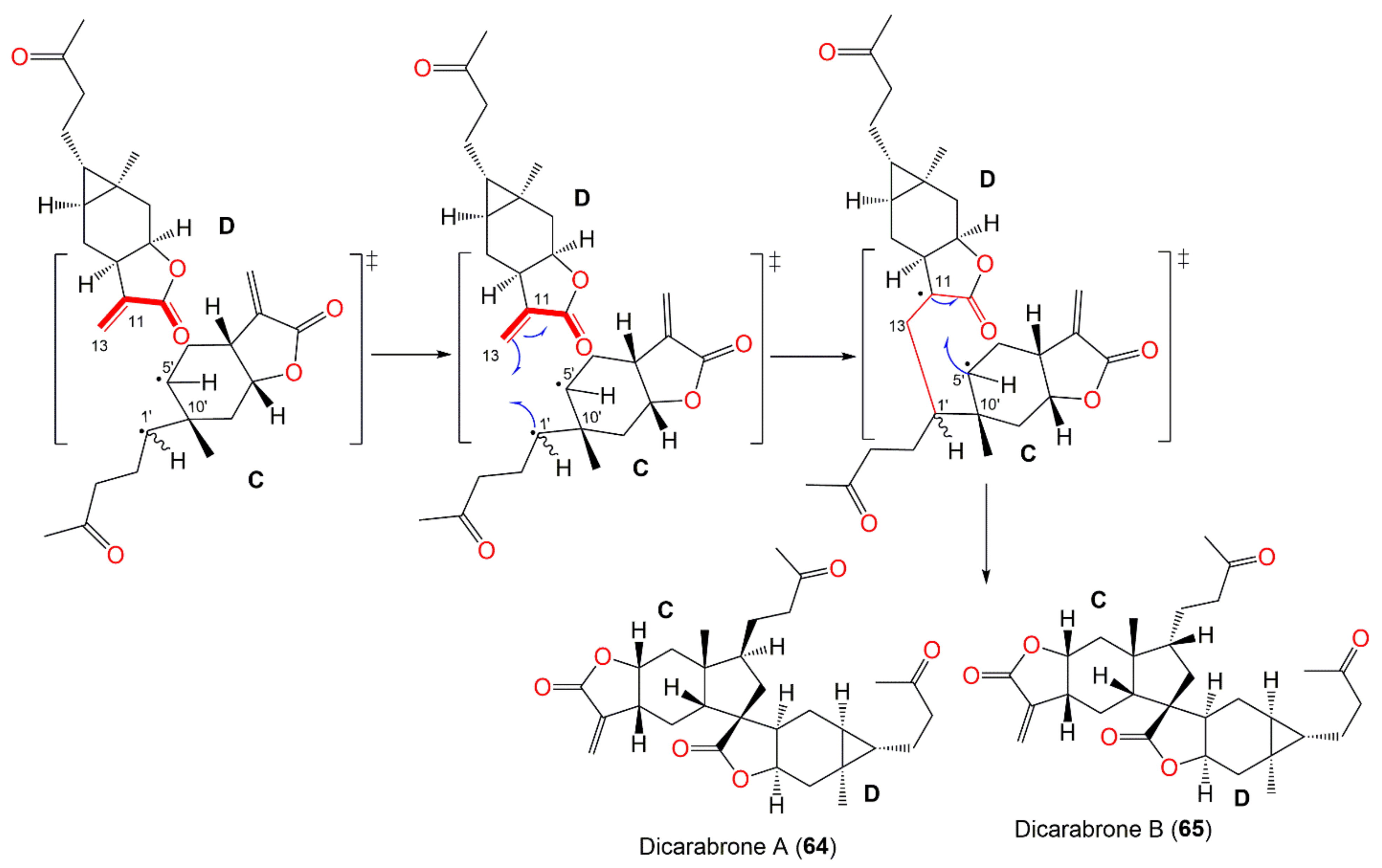 Plants 11 01598 sch005