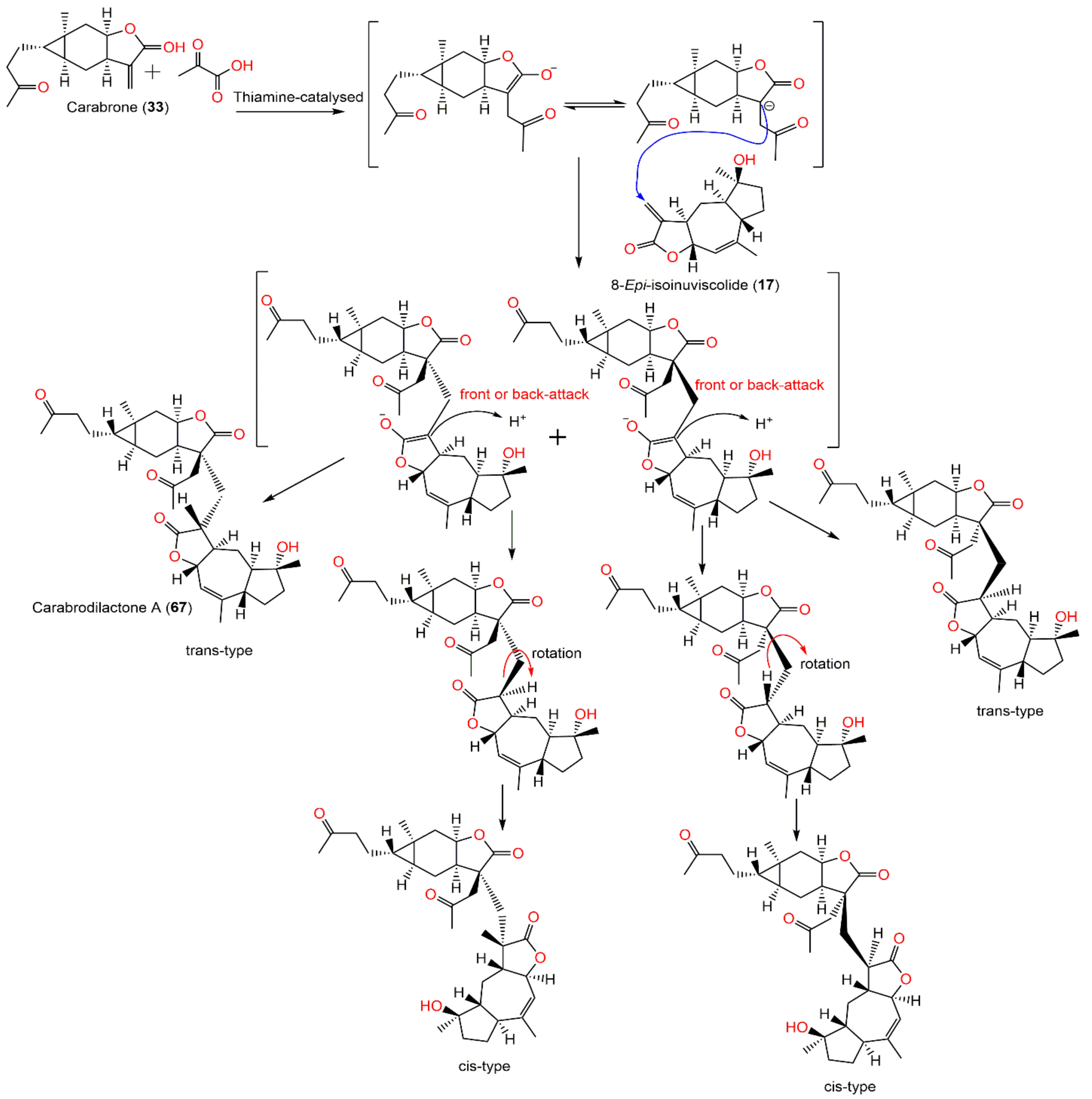 Plants 11 01598 sch007