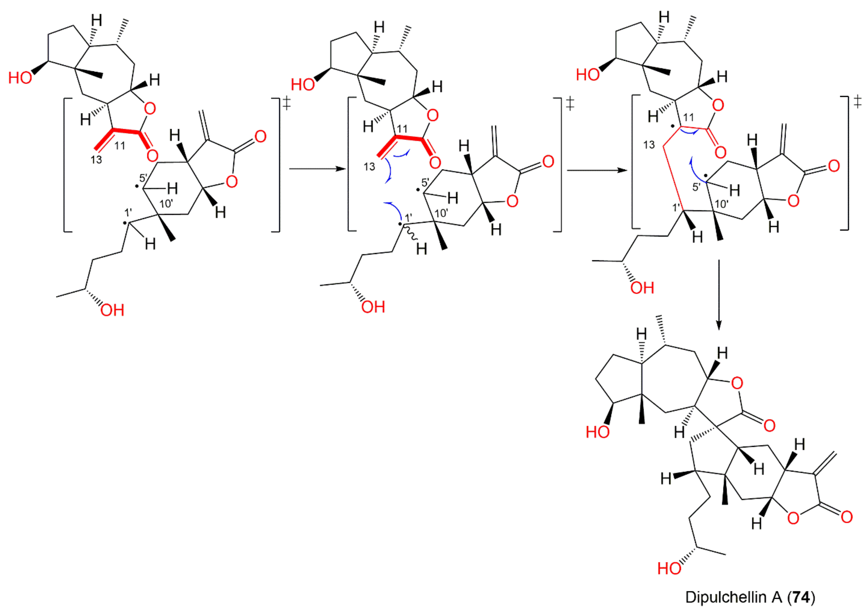 Plants 11 01598 sch008