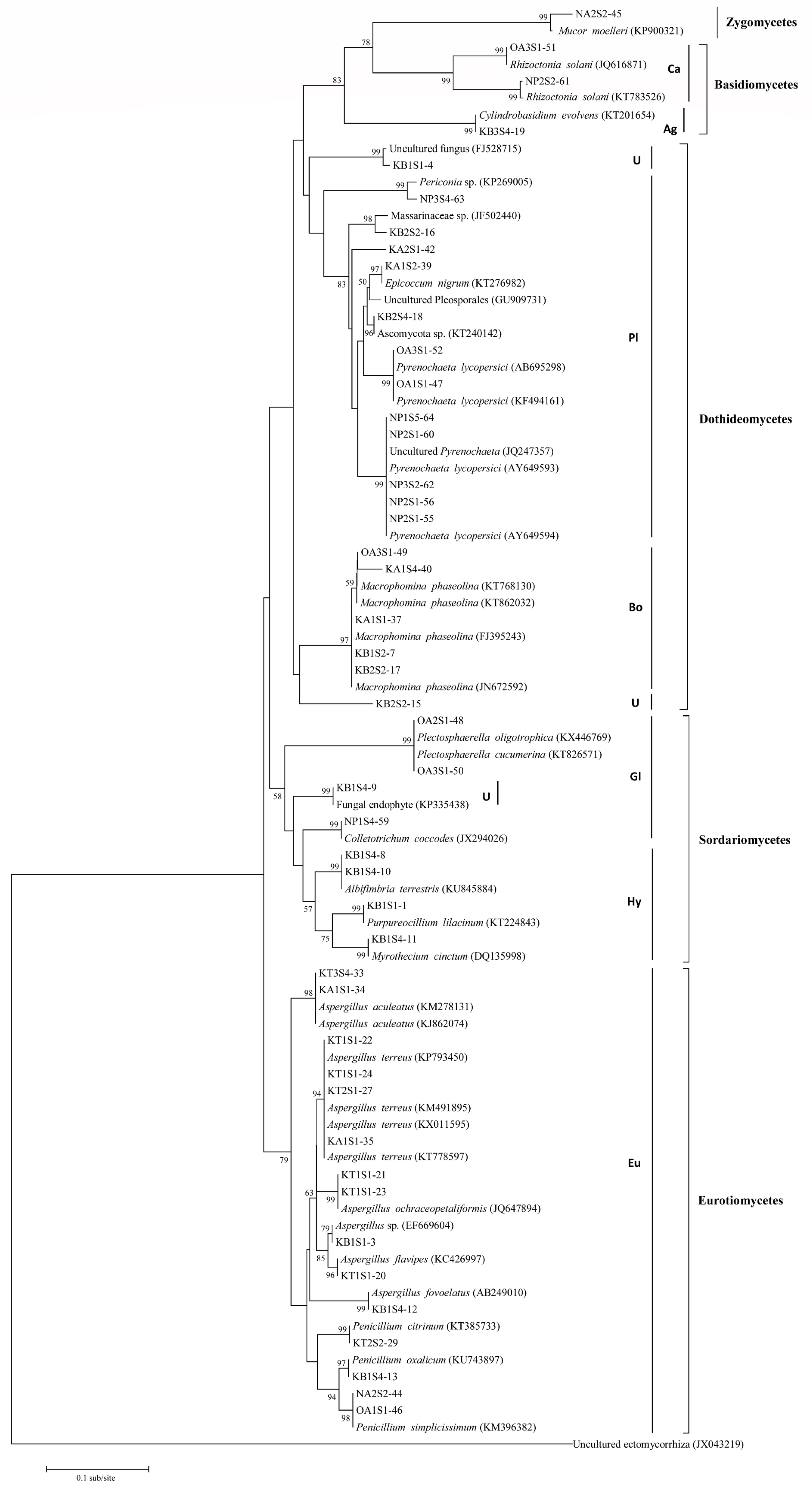 Plants 11 01605 g003