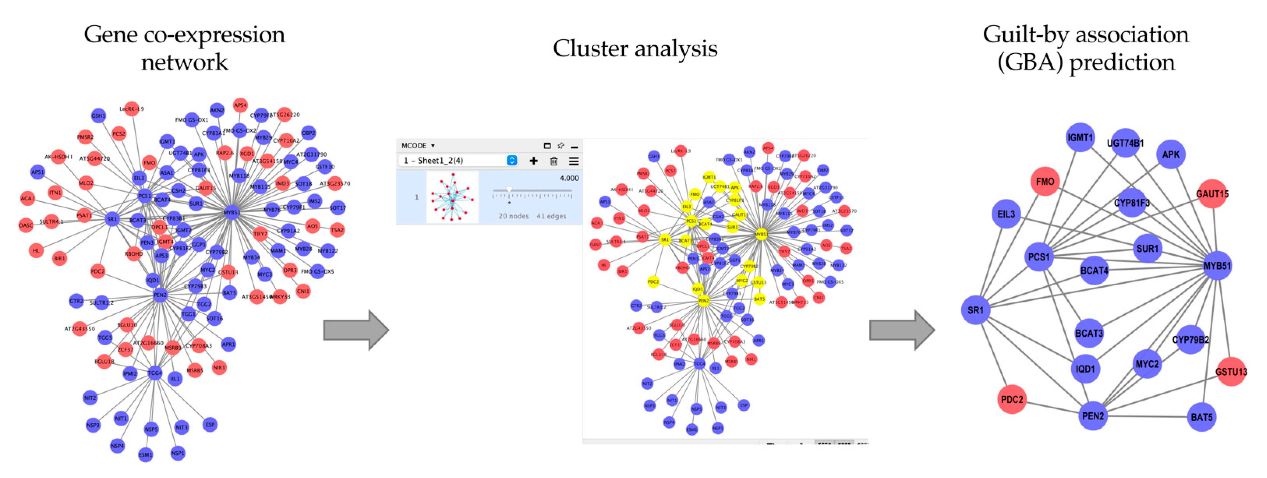 GWENA: gene co-expression networks analysis and extended modules  characterization in a single Bioconductor package, BMC Bioinformatics