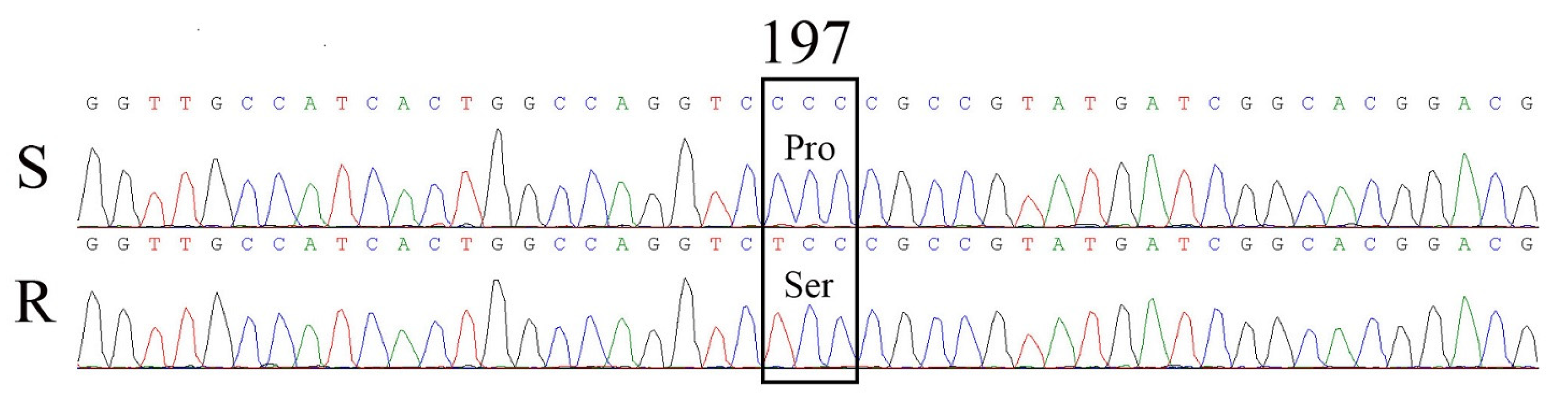 Plants 11 01641 g004