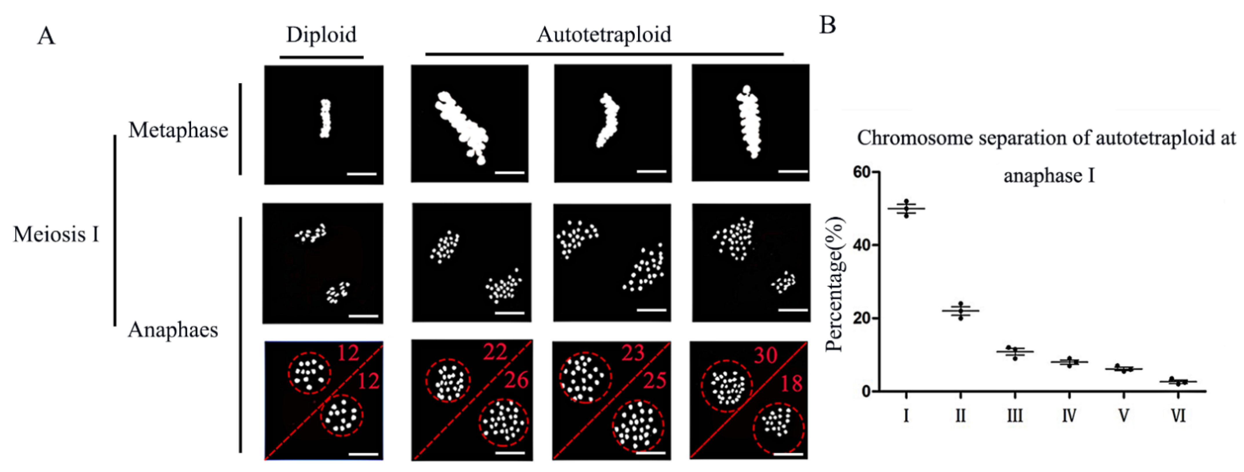 Plants 11 01647 g003 Plants 11 01647 g003