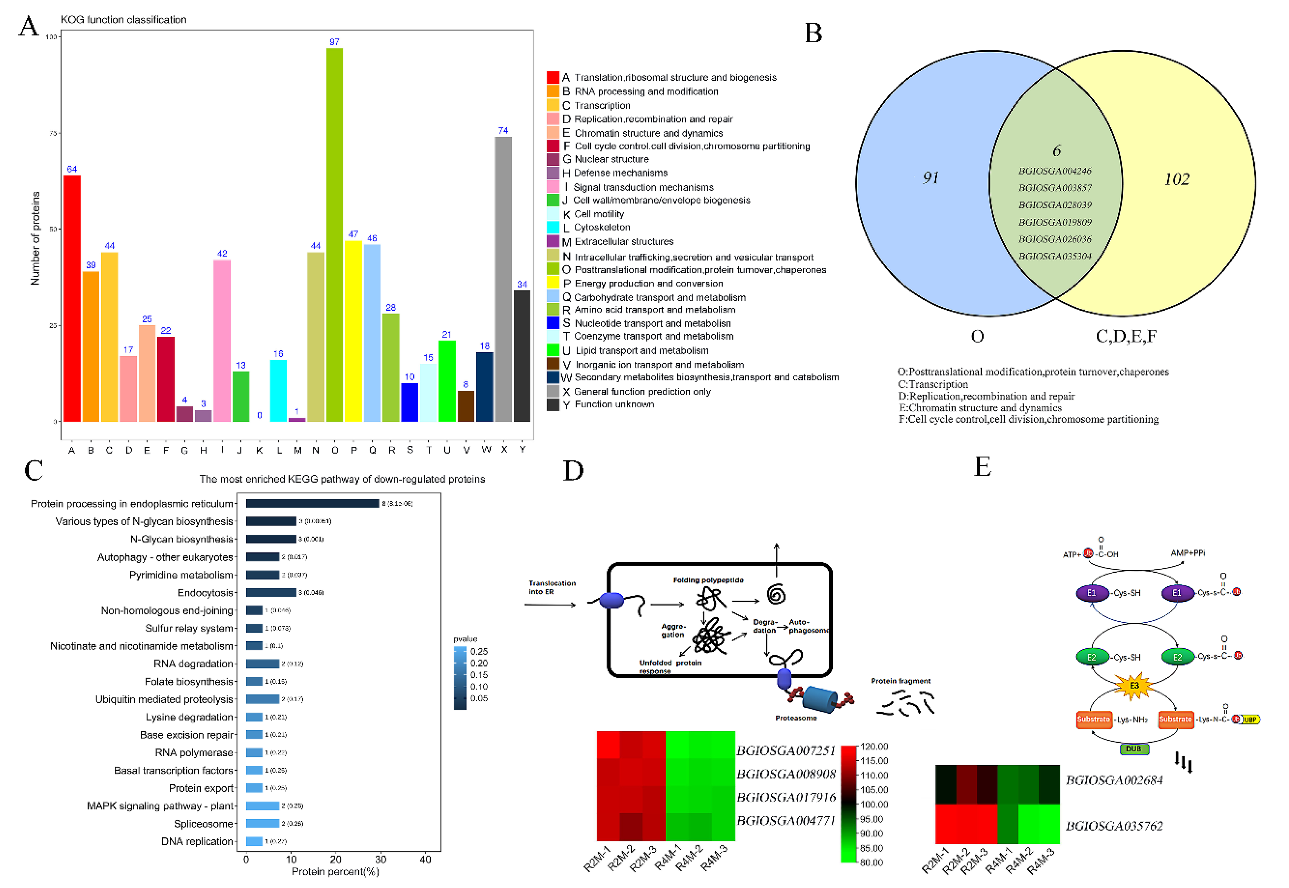 Plants 11 01647 g005 Plants 11 01647 g005