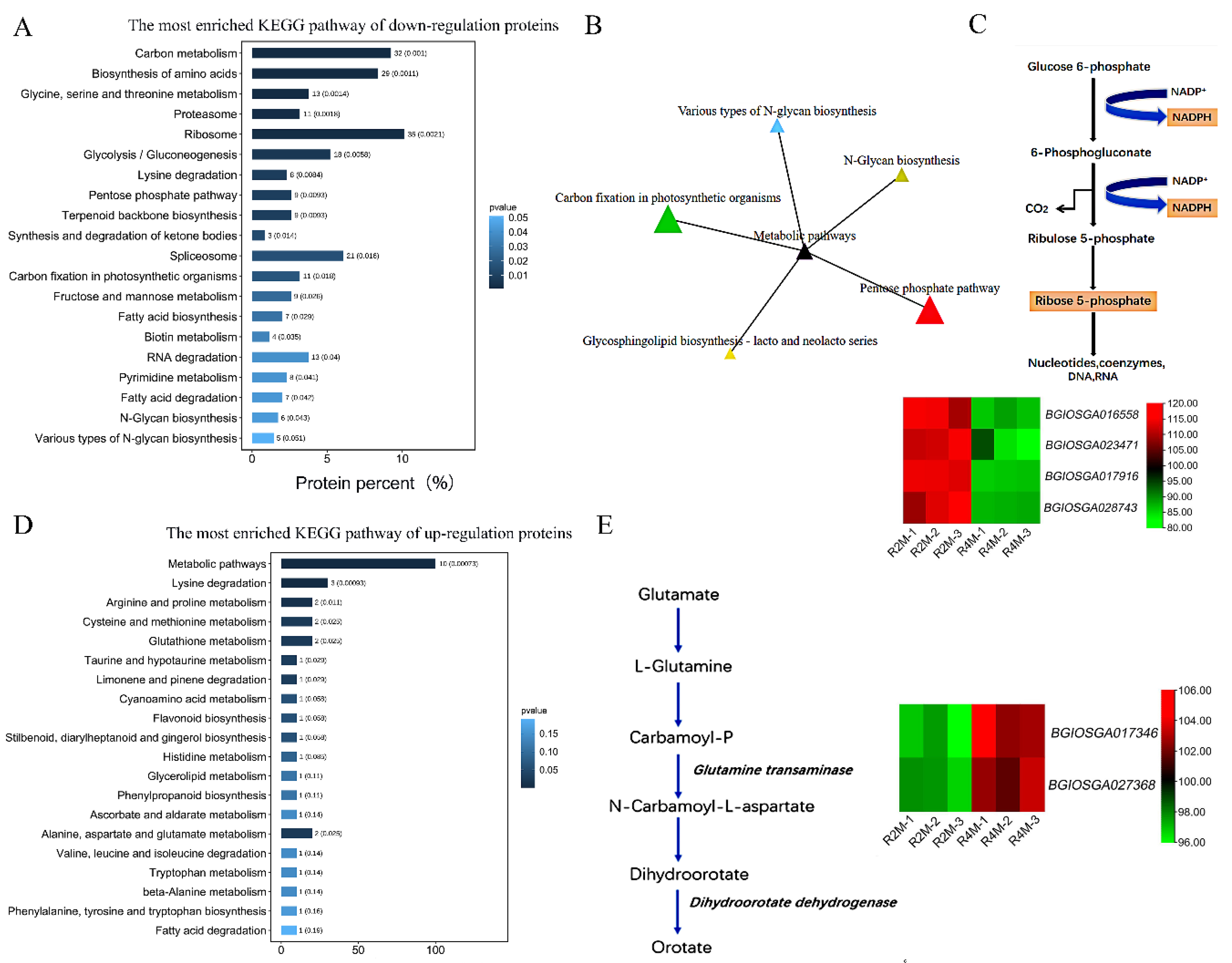 Plants 11 01647 g006 Plants 11 01647 g006