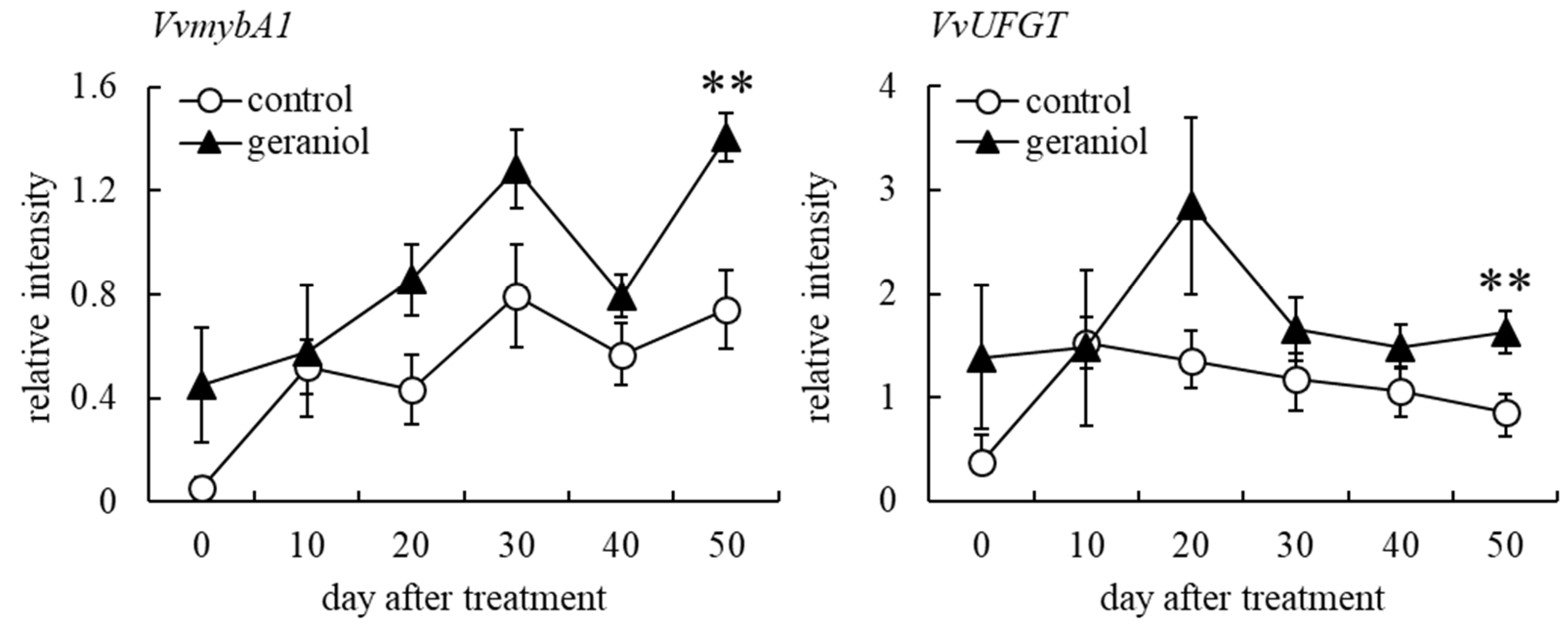 Plants 11 01694 g003