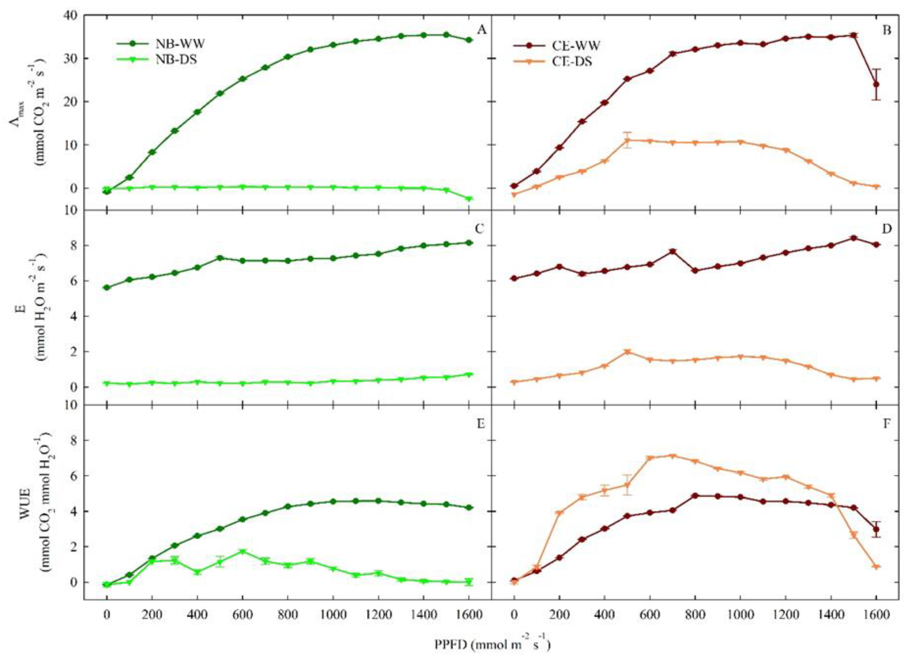 Plants 11 01695 g004 Plants 11 01695 g004