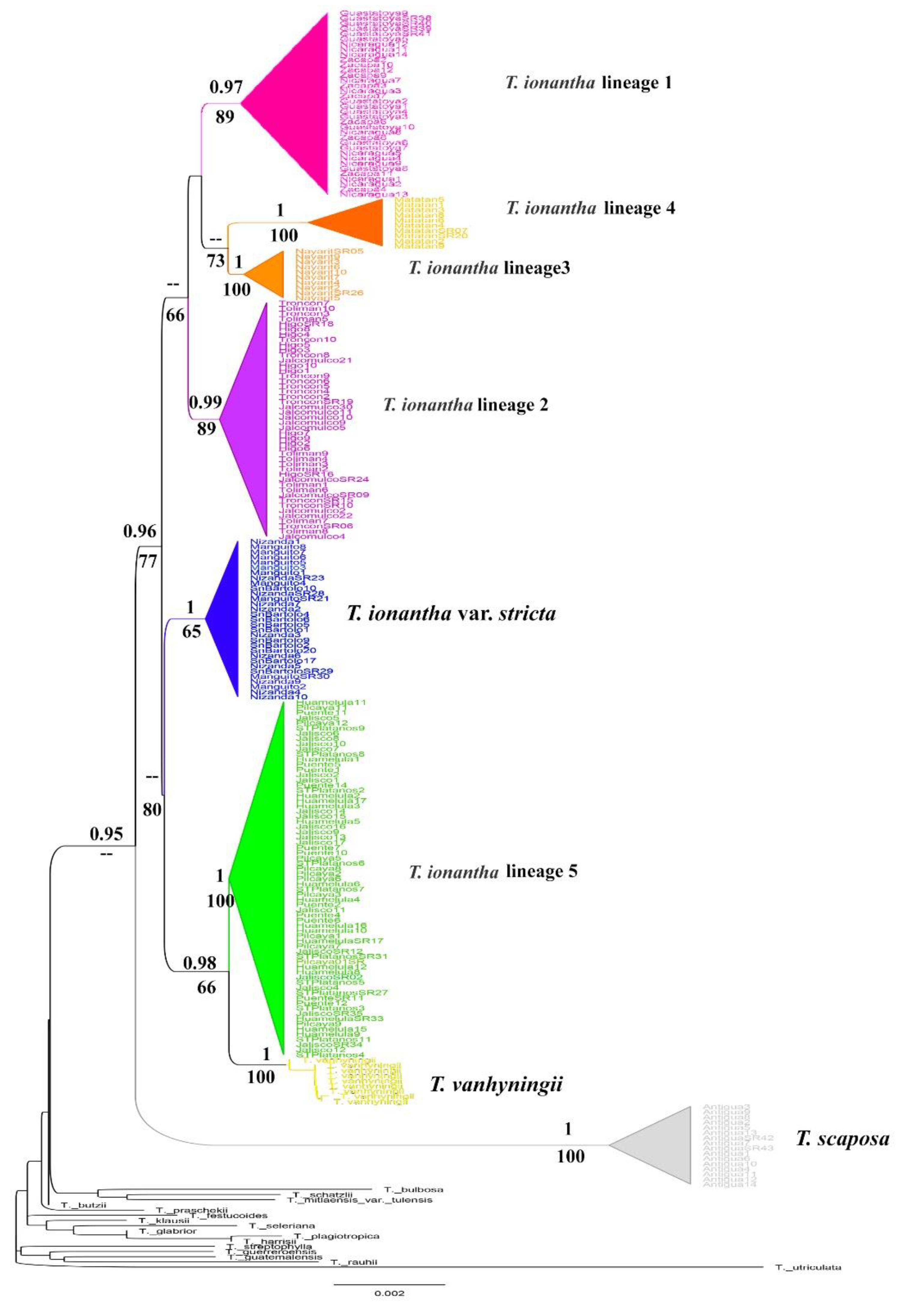 Plants 11 01706 g002