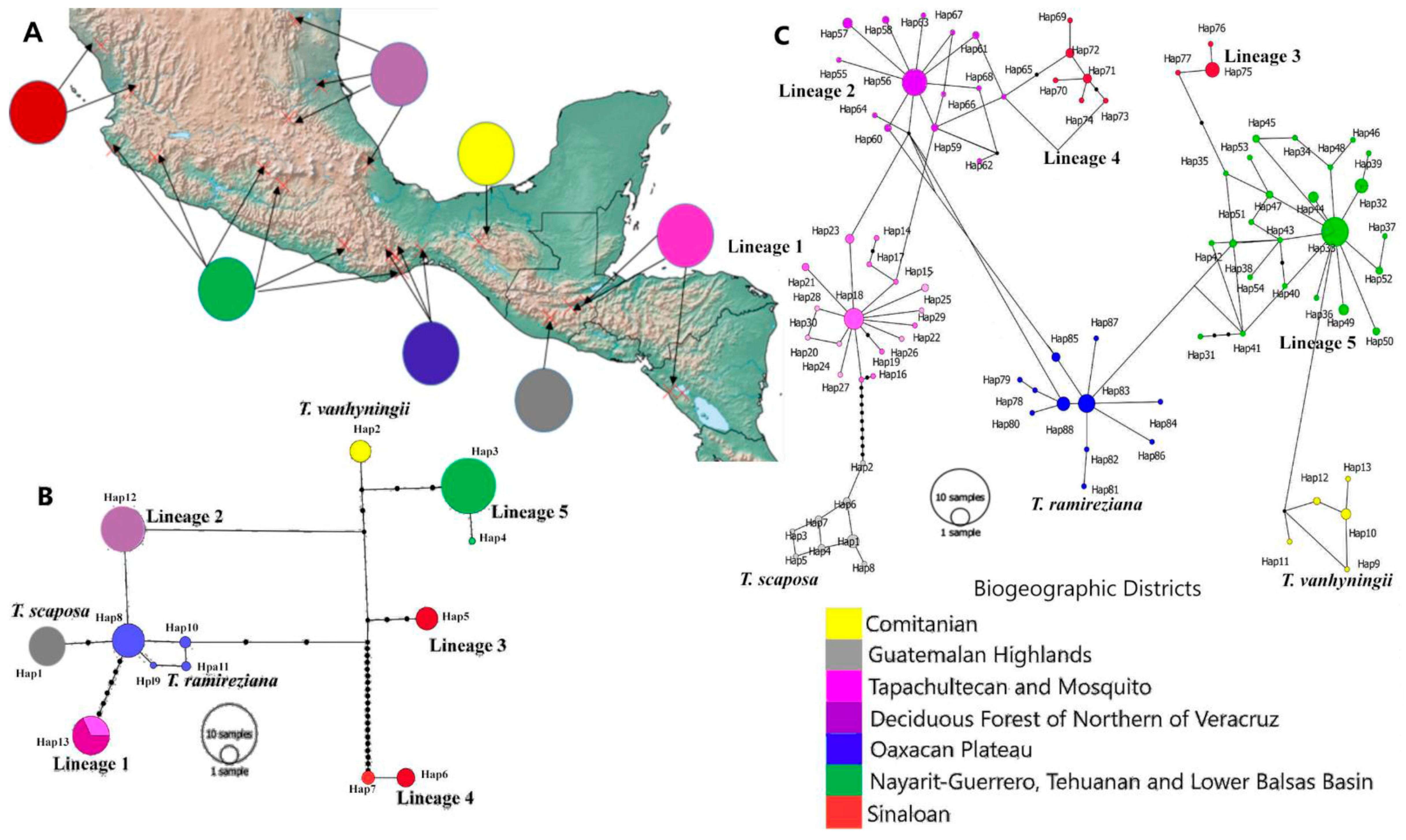 Plants 11 01706 g003