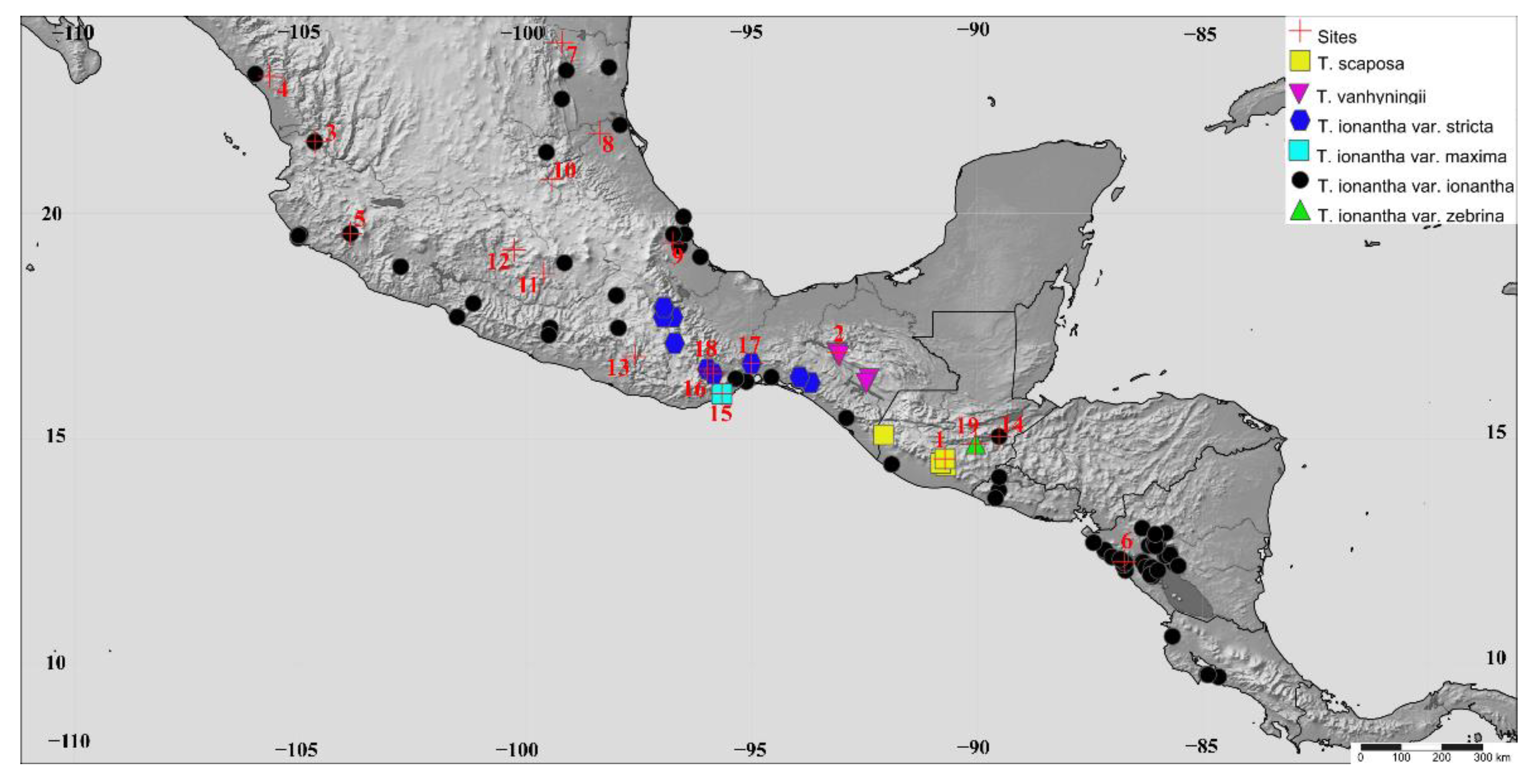 Plants 11 01706 g006