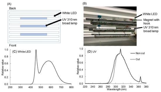 Plants | Free Full-Text | Growth And Biosynthesis Of Phenolic Compounds ...