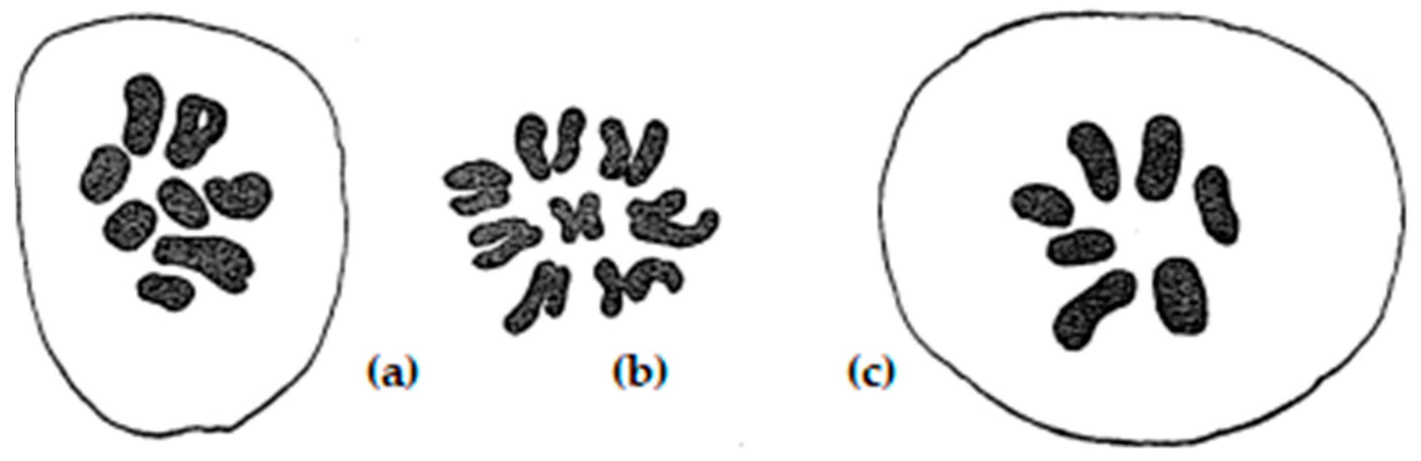 Plants 11 01753 g002 Plants 11 01753 g002