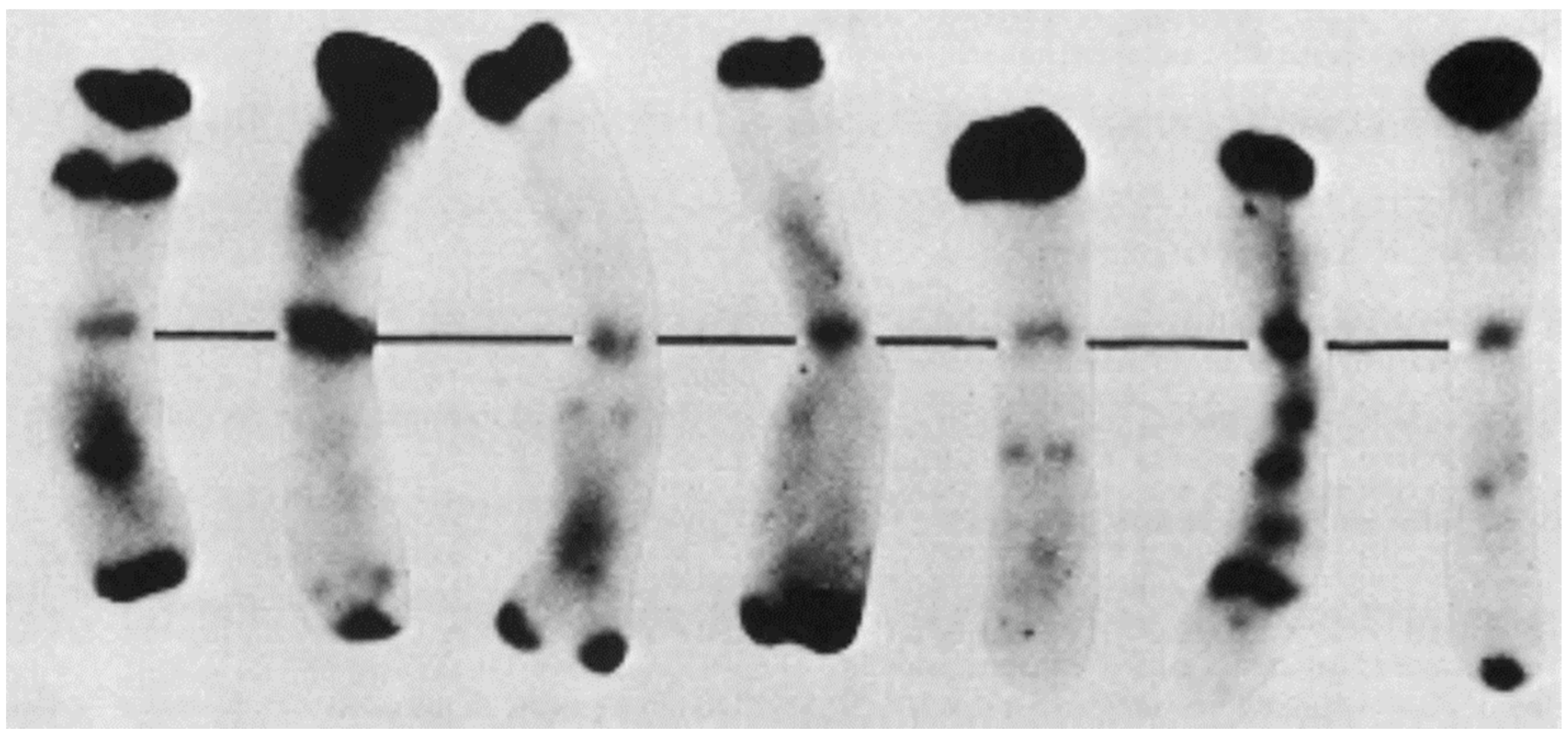 Plants 11 01753 g013 Plants 11 01753 g013