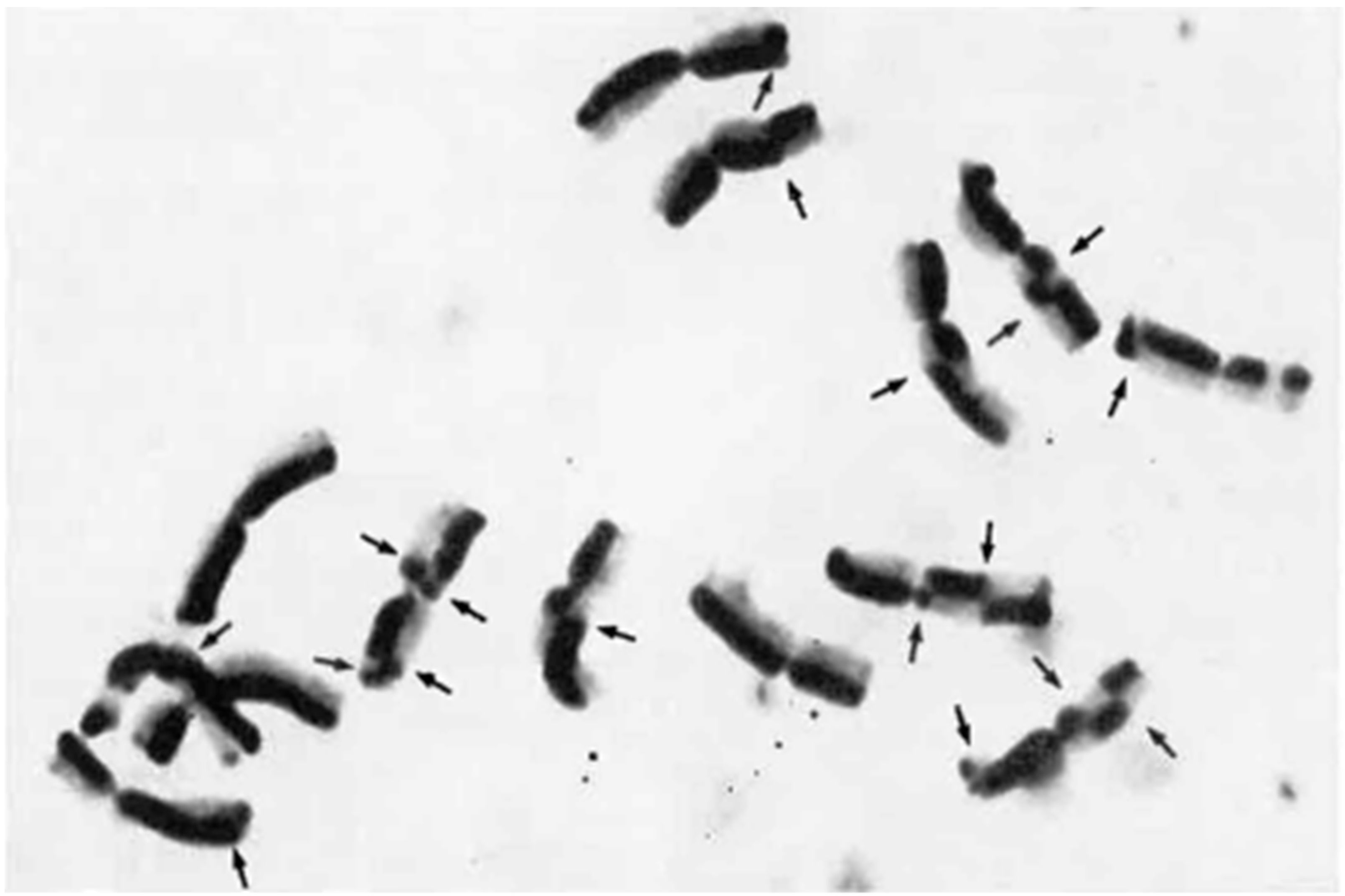 Plants 11 01753 g016 Plants 11 01753 g016