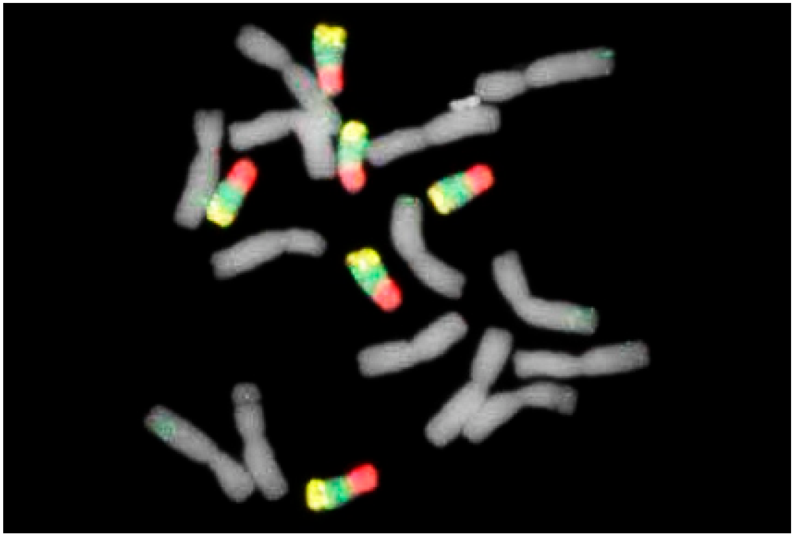 Plants 11 01753 g019 Plants 11 01753 g019