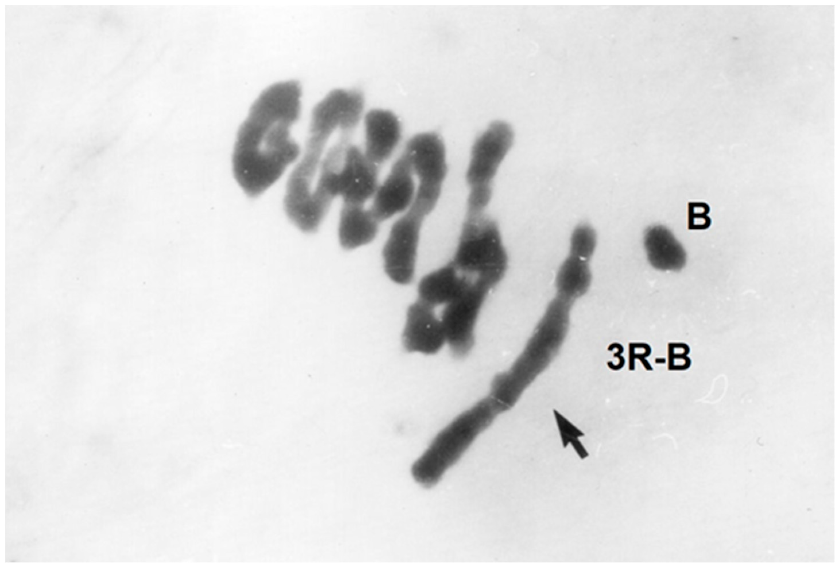 Plants 11 01753 g020 Plants 11 01753 g020