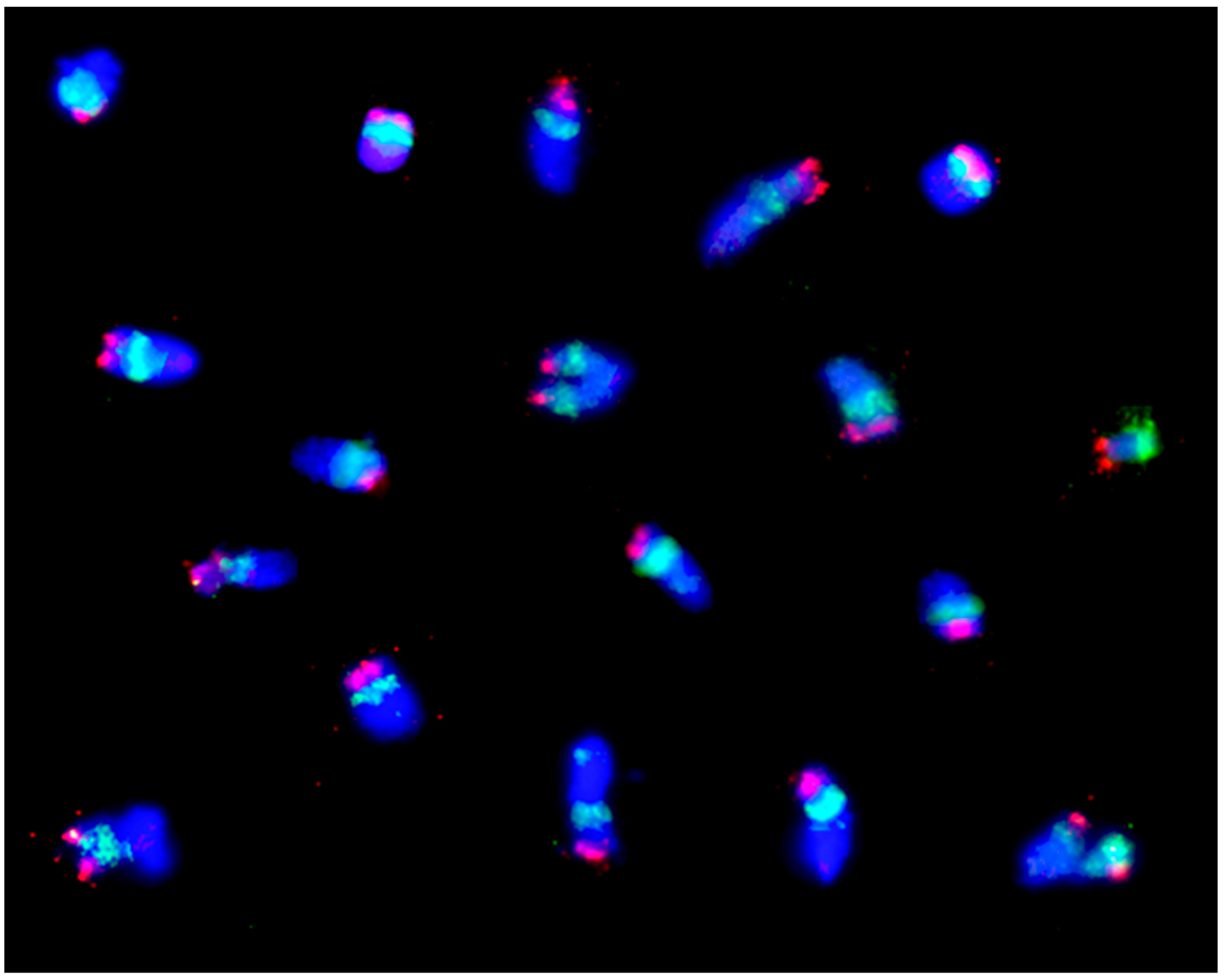 Plants 11 01753 g022 Plants 11 01753 g022