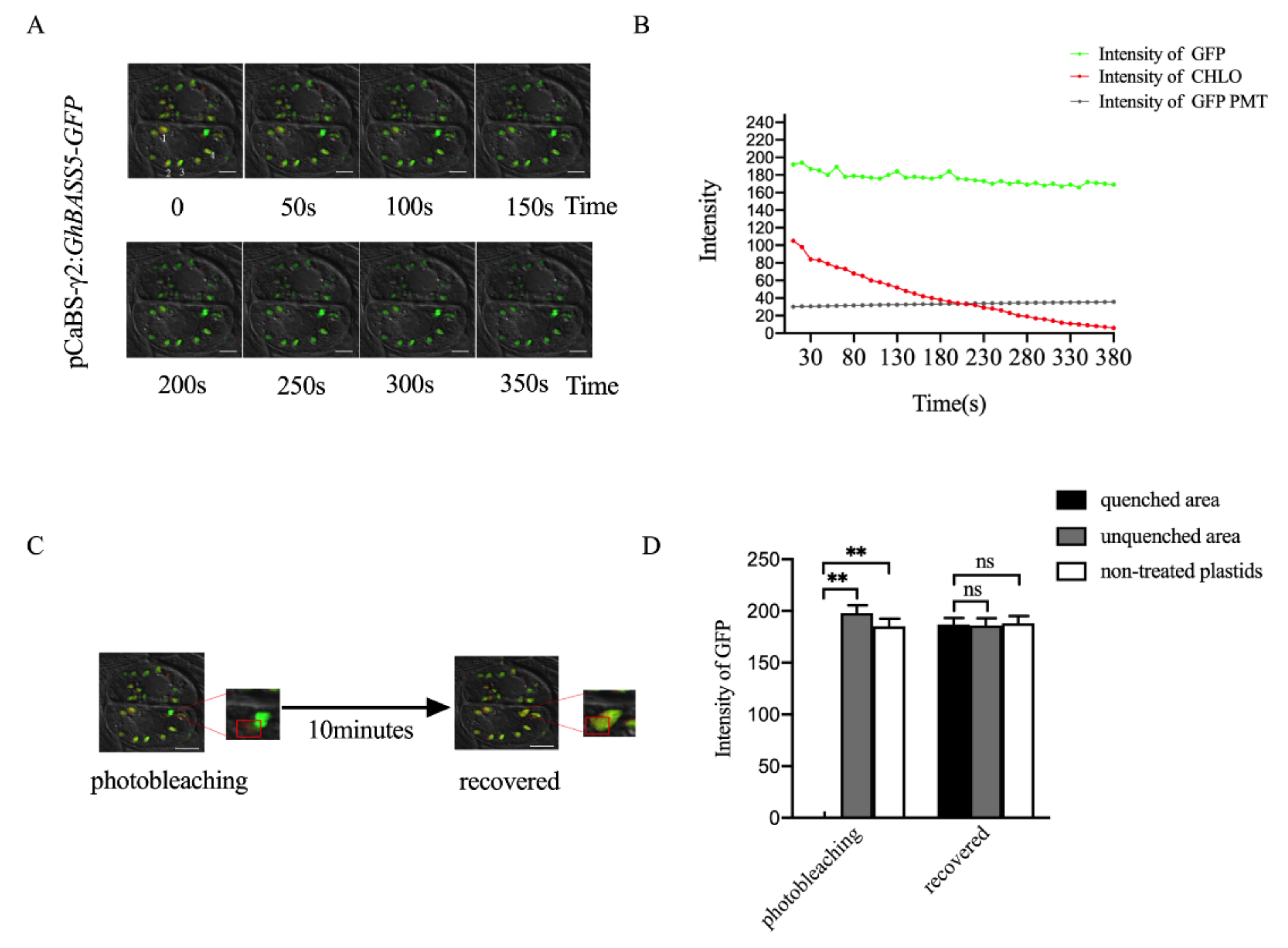 Plants 11 01765 g003