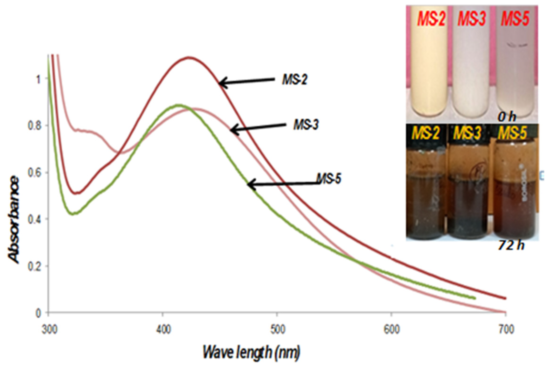 Plants 11 01787 g005