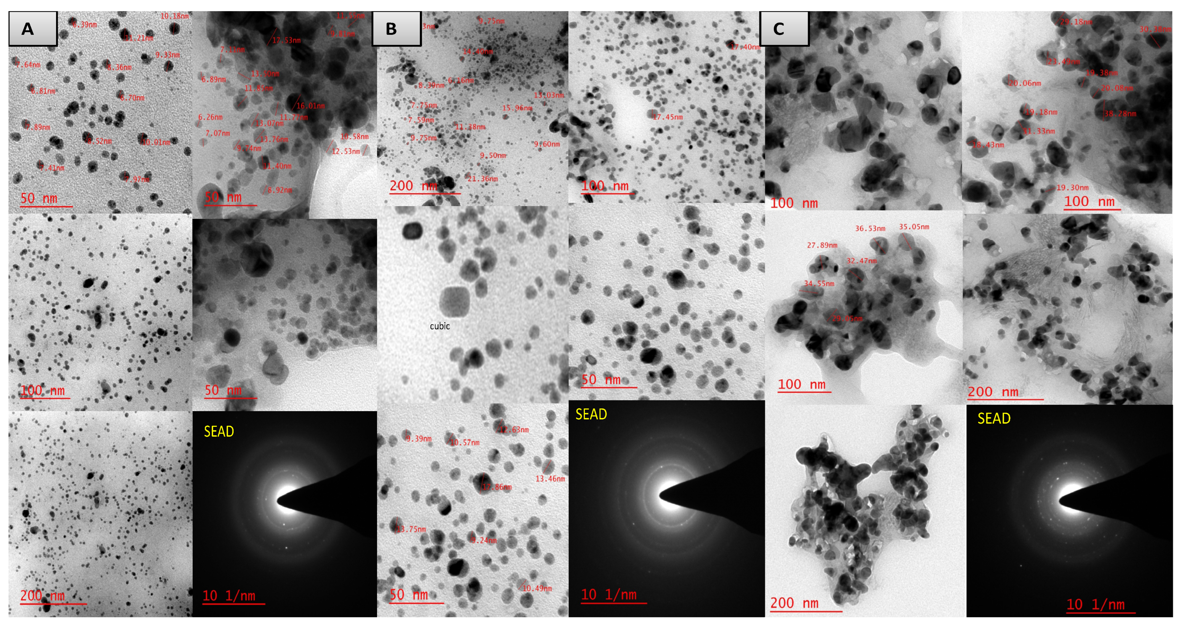 Plants 11 01787 g008