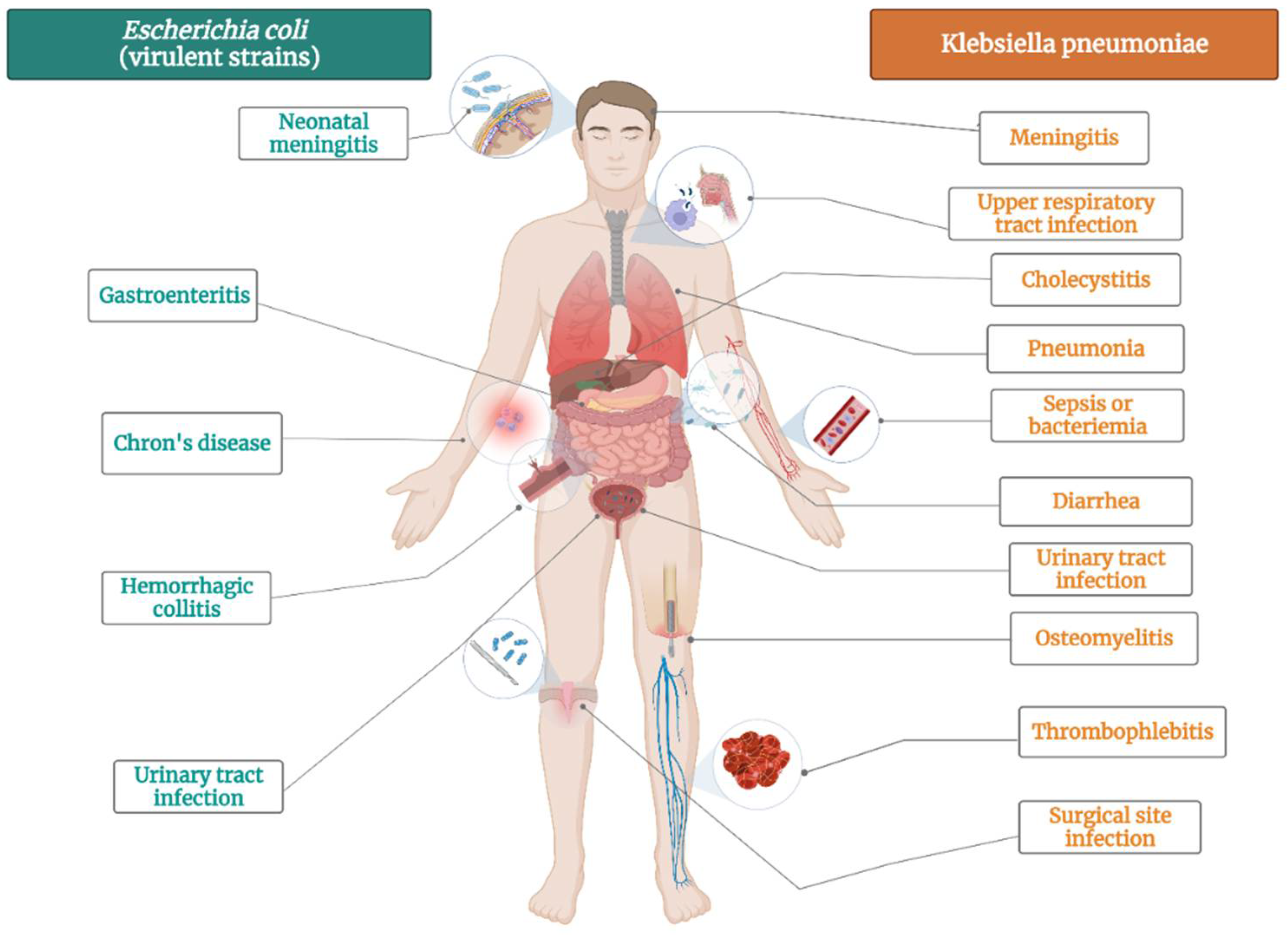 Plants 11 01789 g002
