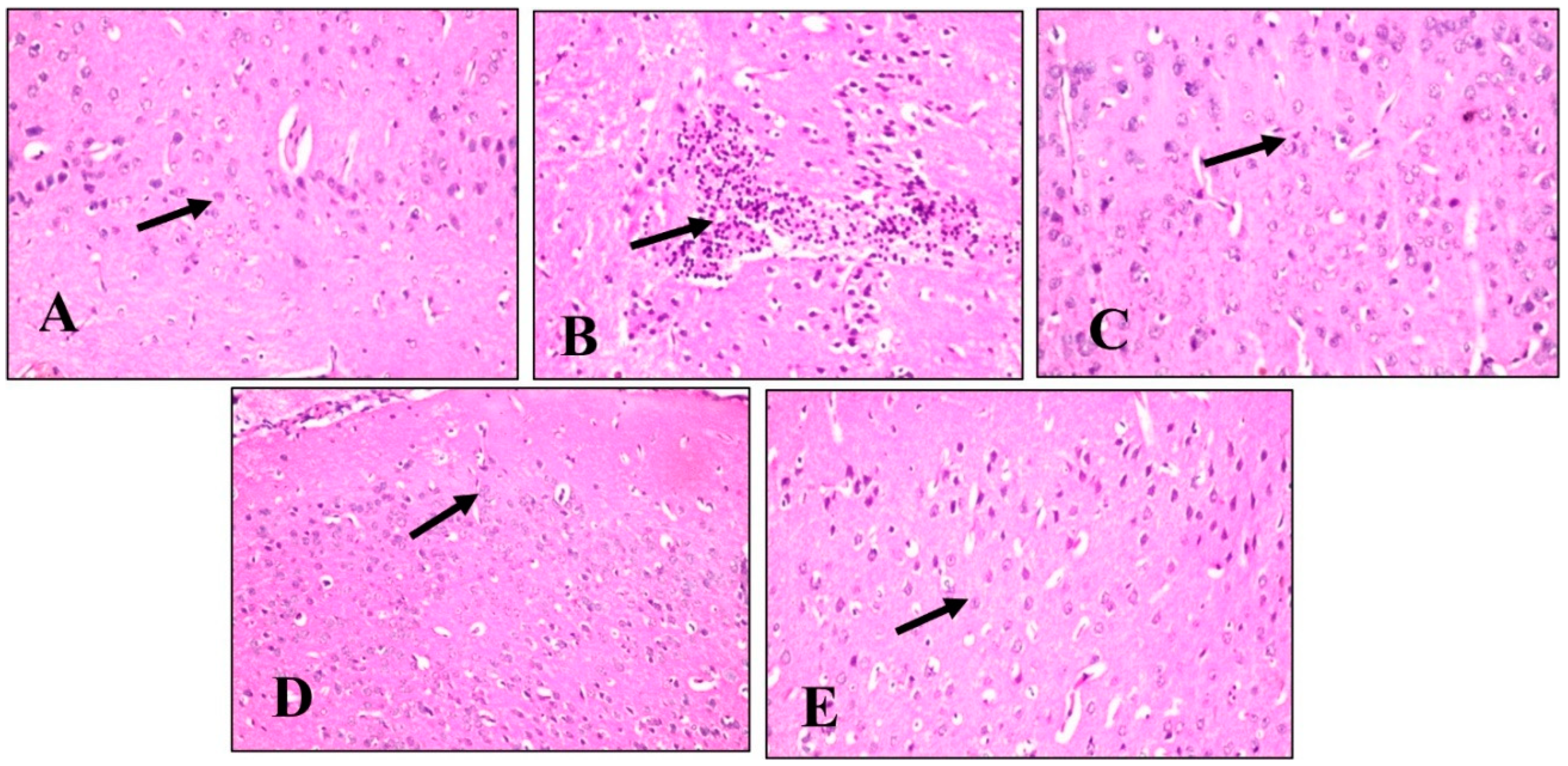 Plants 11 01792 g006 Plants 11 01792 g006