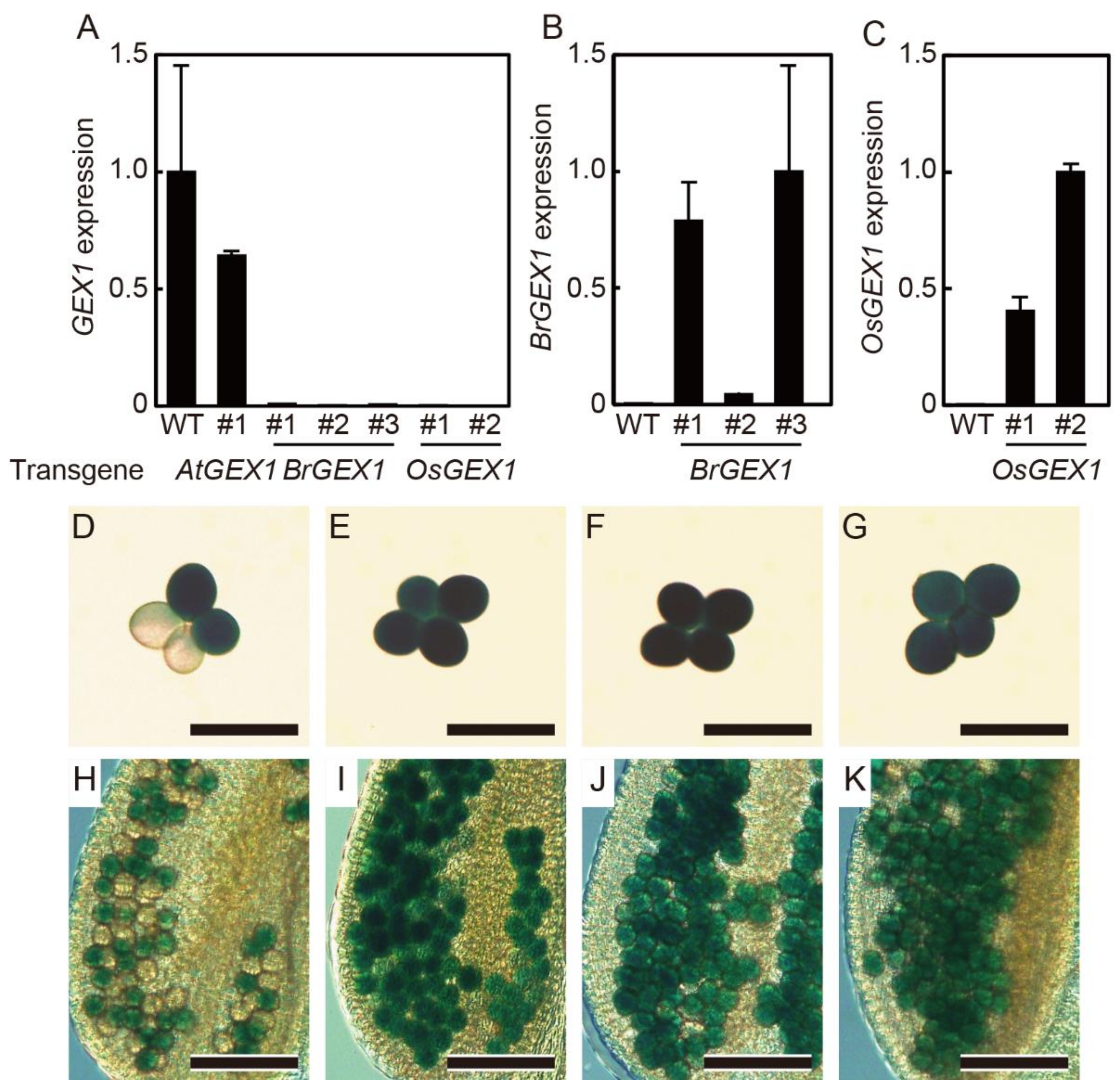 Plants 11 01808 g002