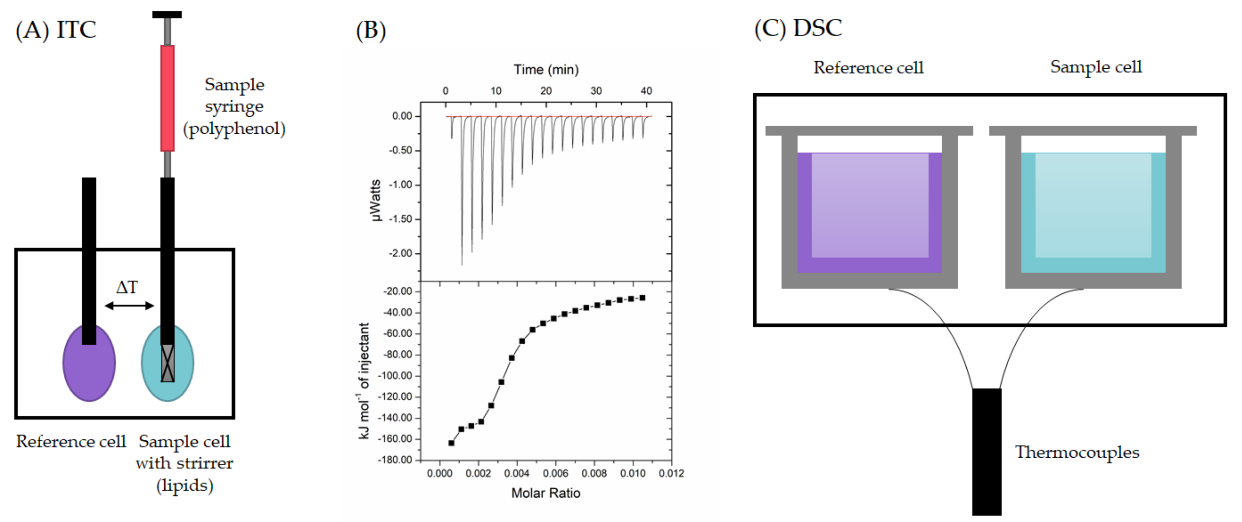 Plants 11 01809 g003 Plants 11 01809 g003