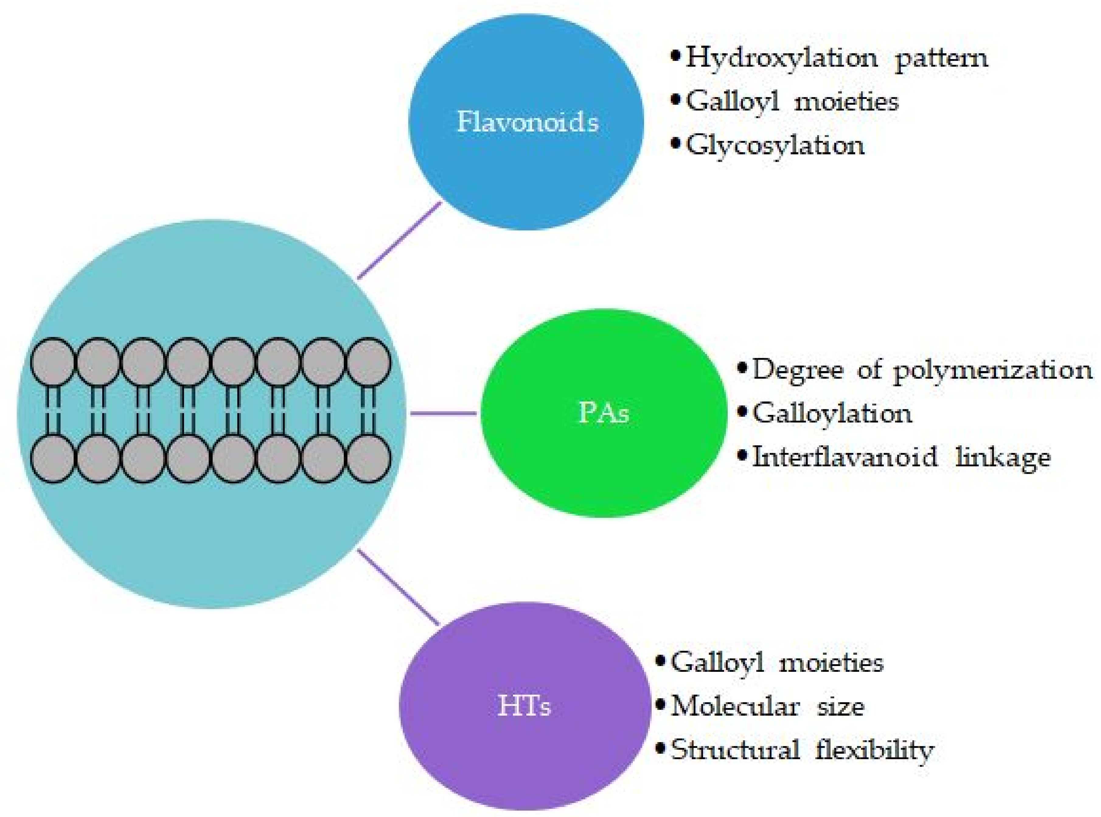 Plants 11 01809 g005 Plants 11 01809 g005