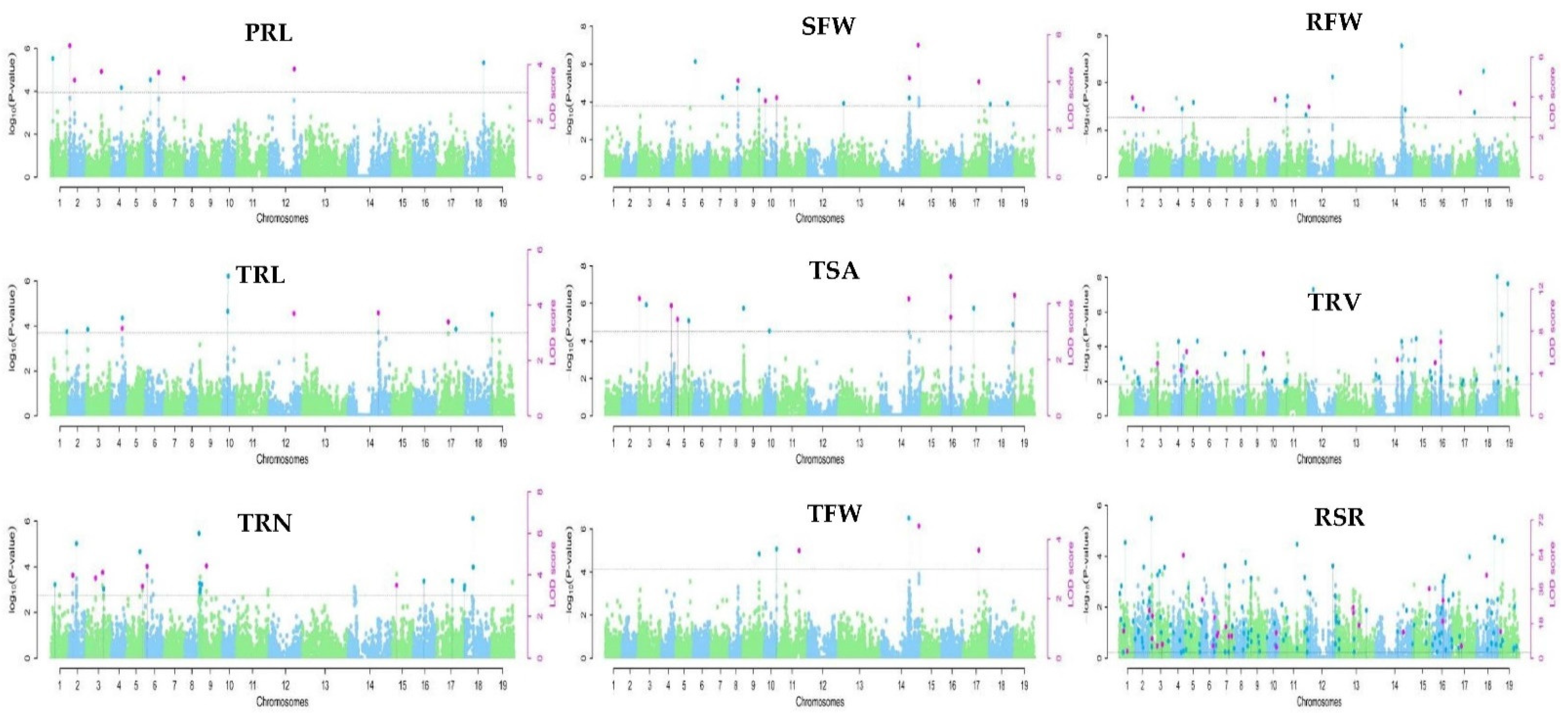 Plants 11 01826 g002