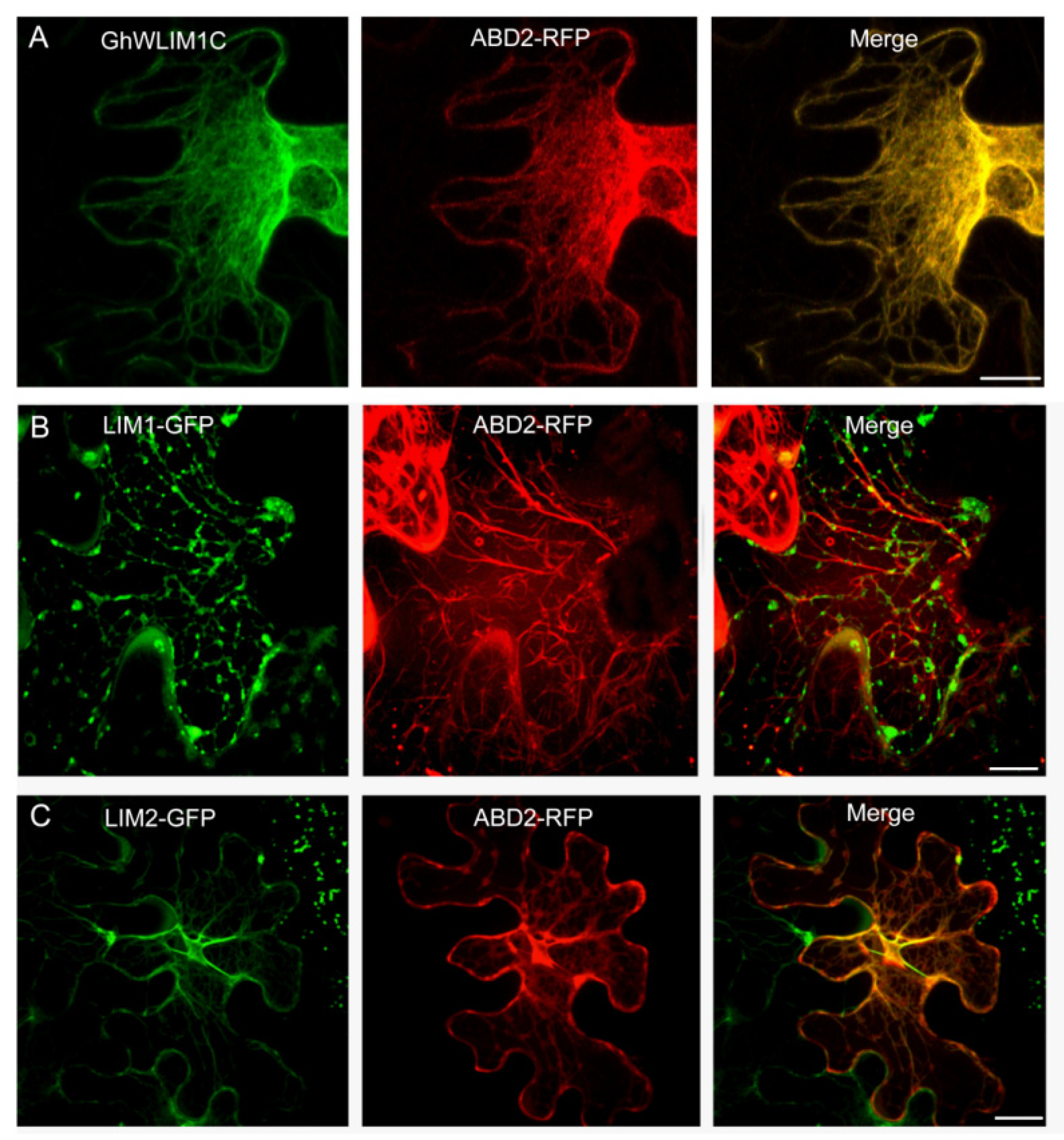 Plants 11 01828 g003