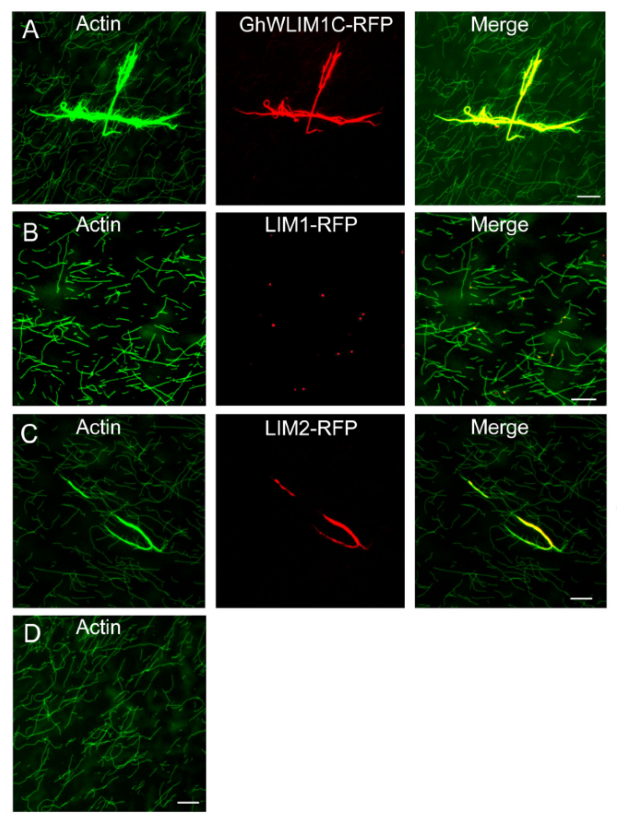 Plants 11 01828 g005