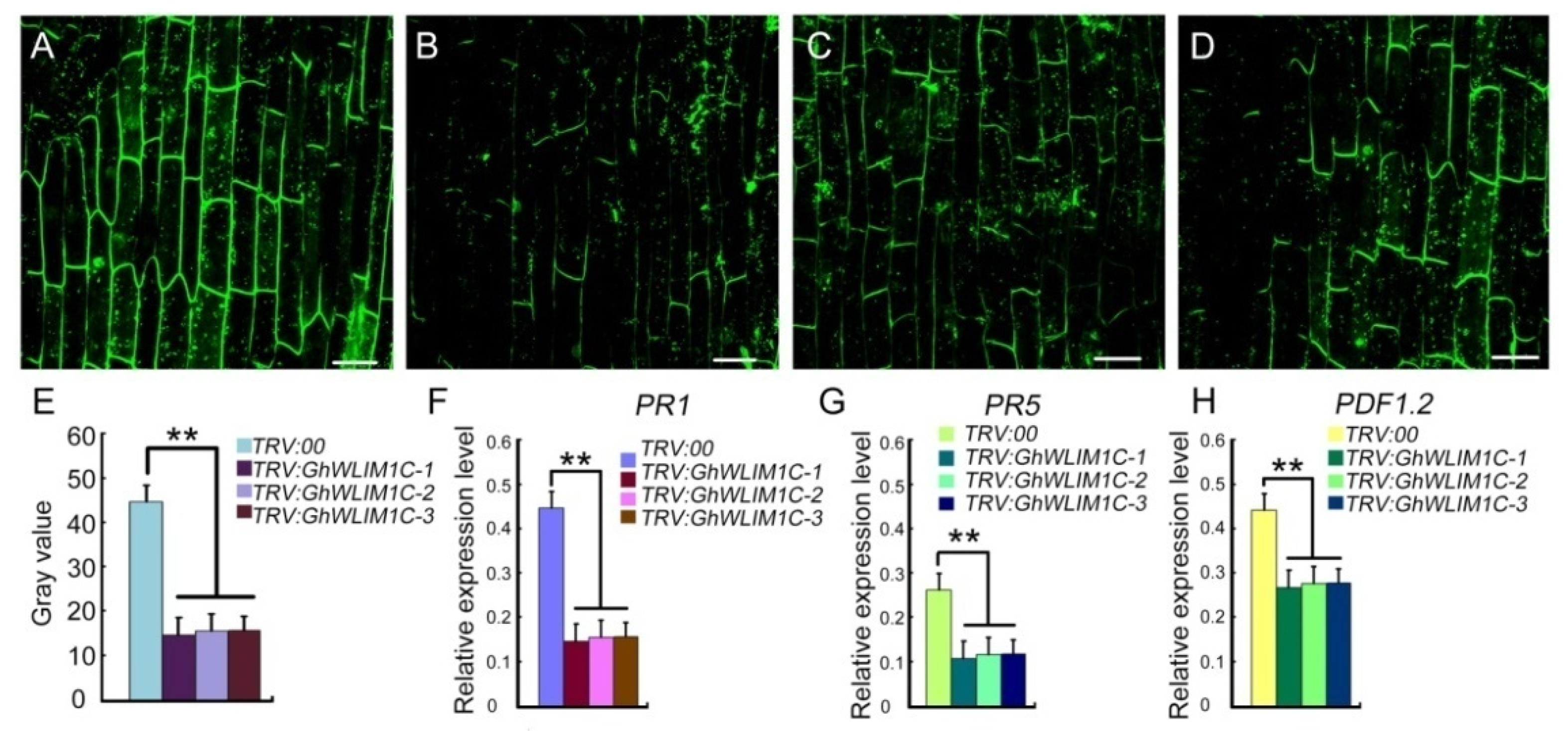 Plants 11 01828 g006
